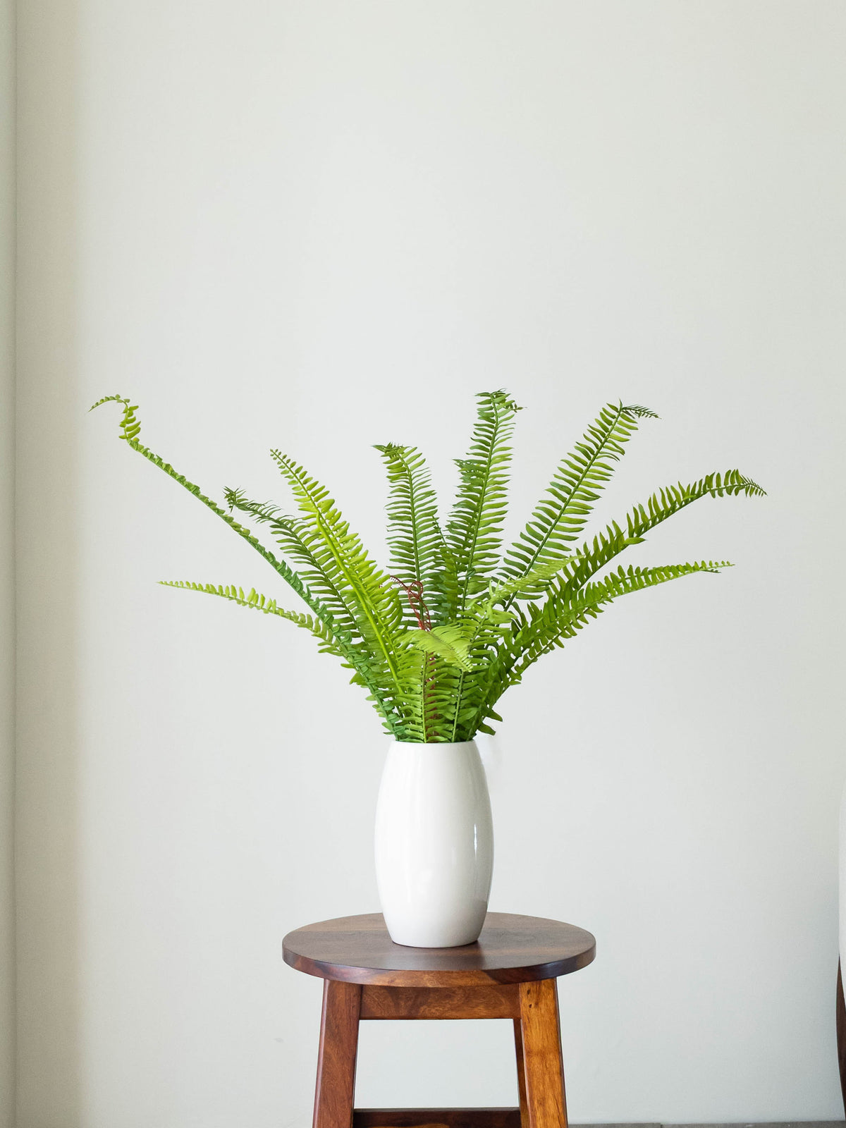 Artificial Fern Reverie Bunch 1.7ft