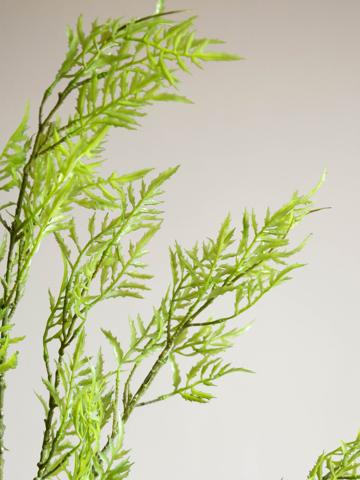 Artificial Feather Fern Stem 4.2ft