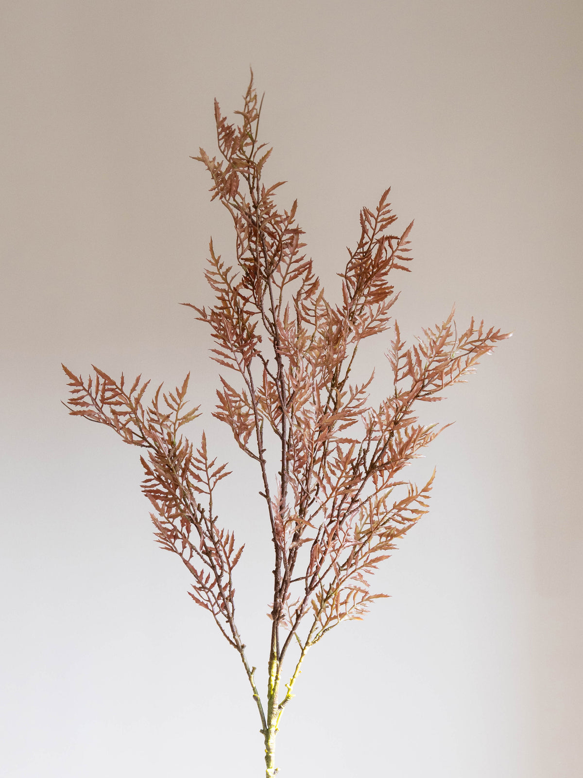 Artificial Feather Fern Stem 4.2ft