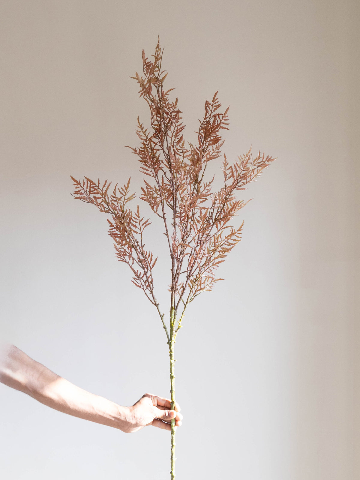 Artificial Feather Fern Stem 4.2ft