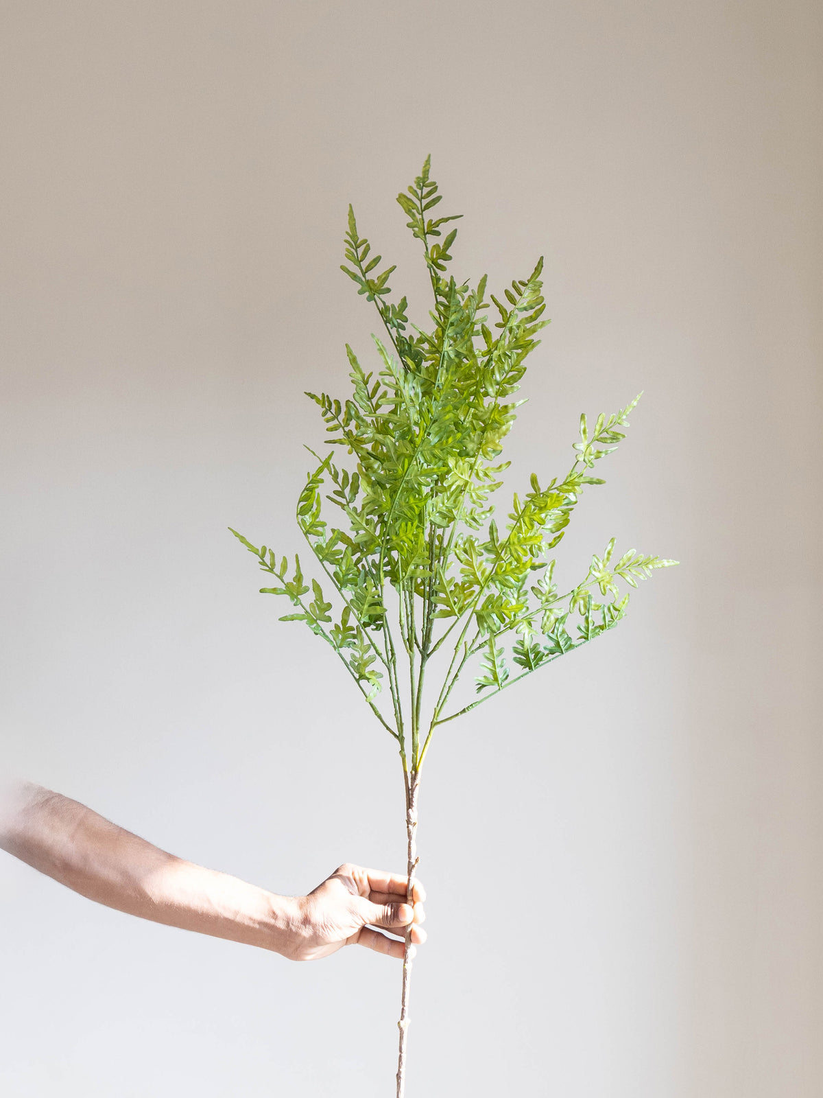 Artificial Wild Fern Stem 4ft