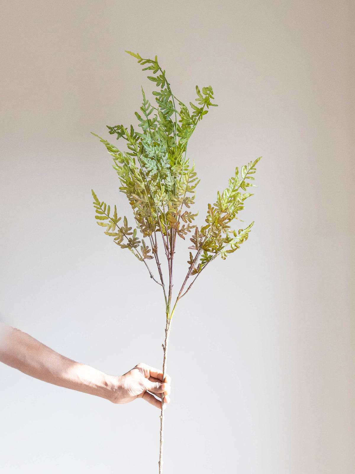 Artificial Wild Fern Stem 4ft