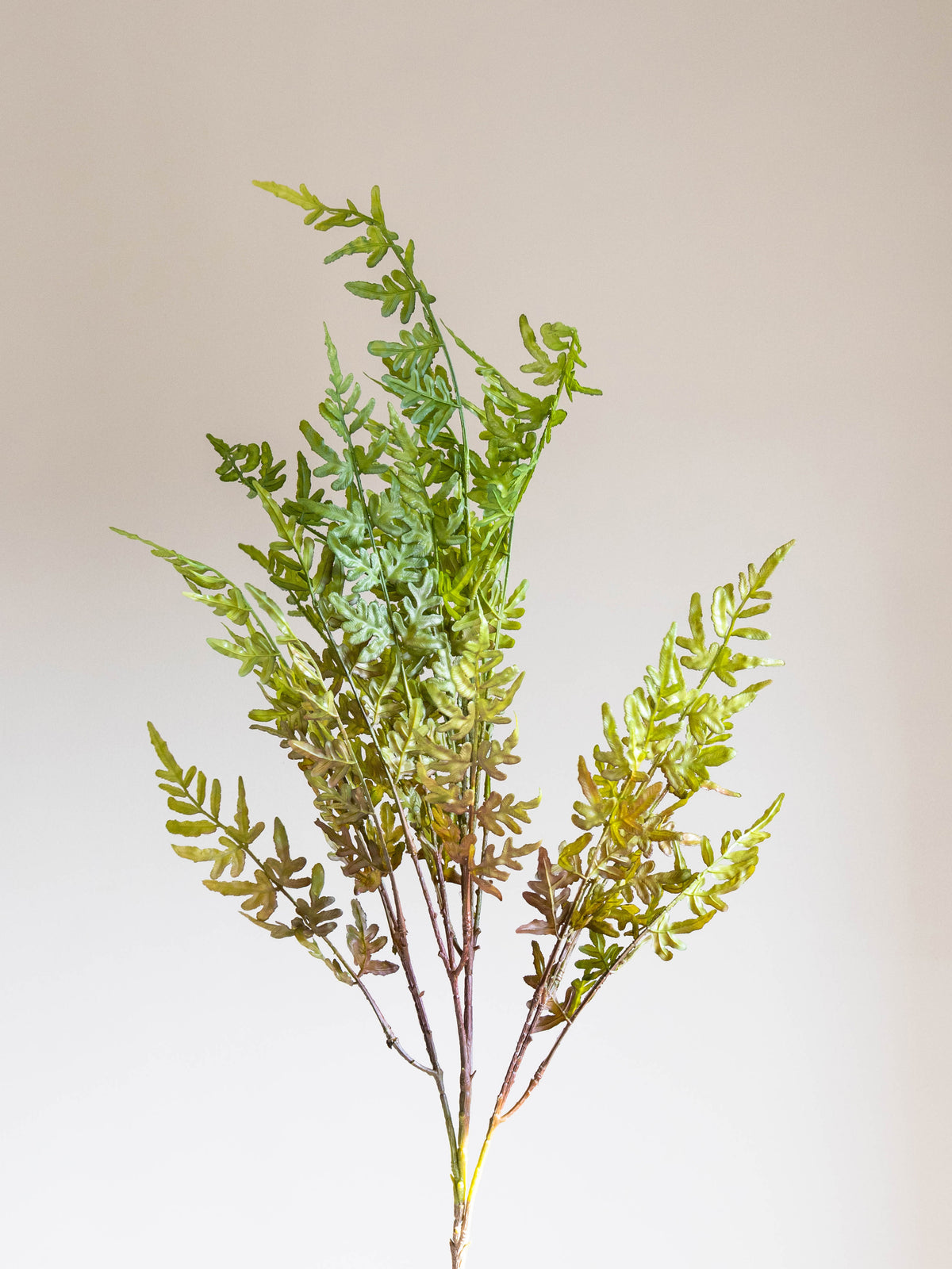 Artificial Wild Fern Stem 4ft