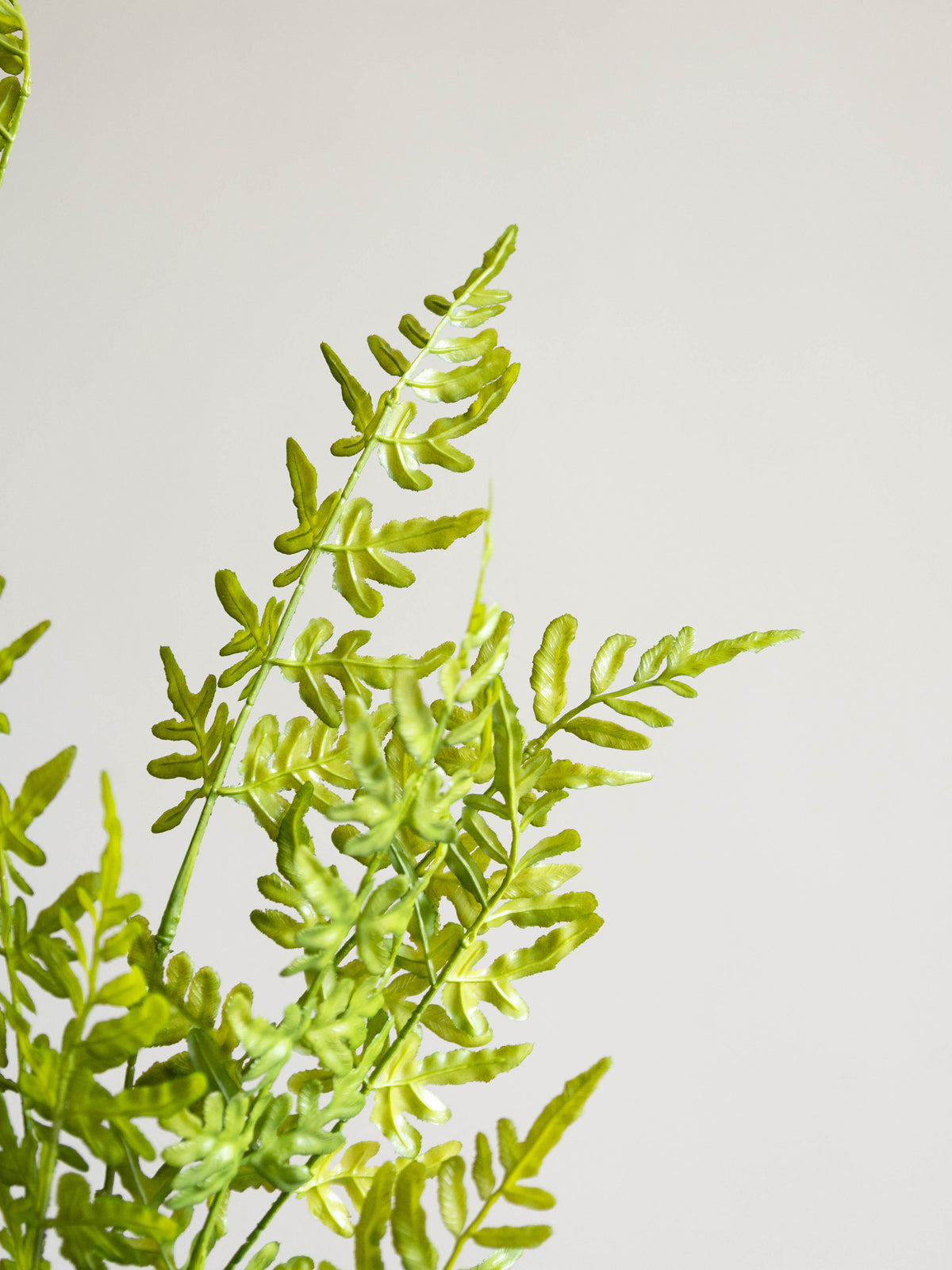 Artificial Wild Fern Stem 4ft