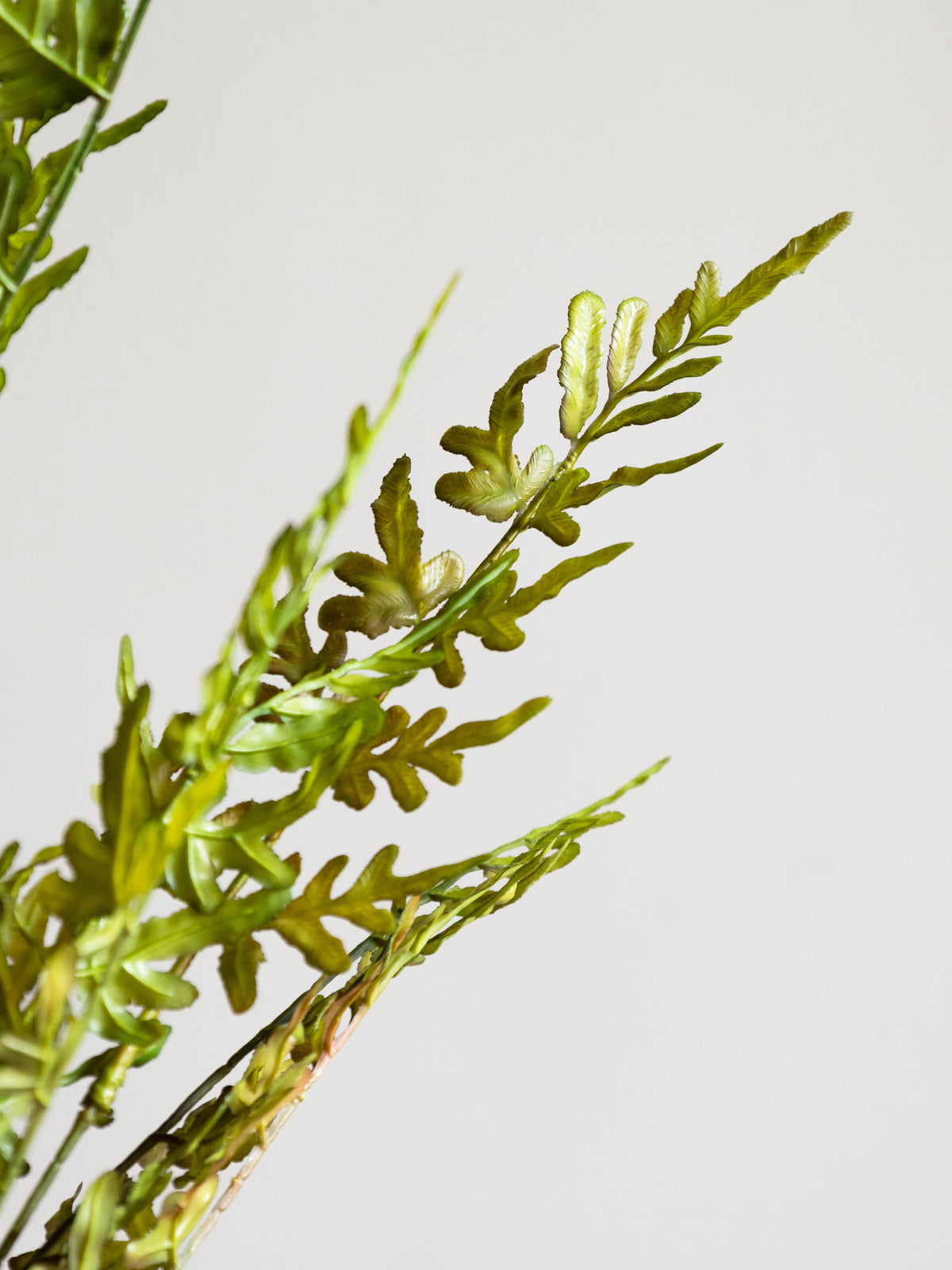 Artificial Wild Fern Stem 4ft