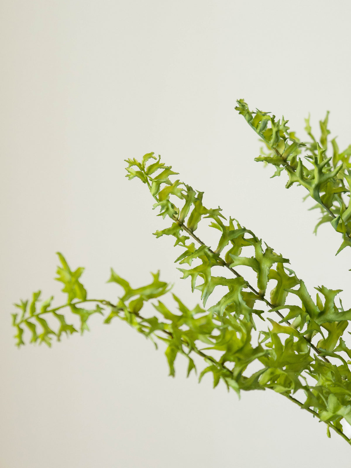 Artificial Wild Ripple Green Fern Plant 2.2ft