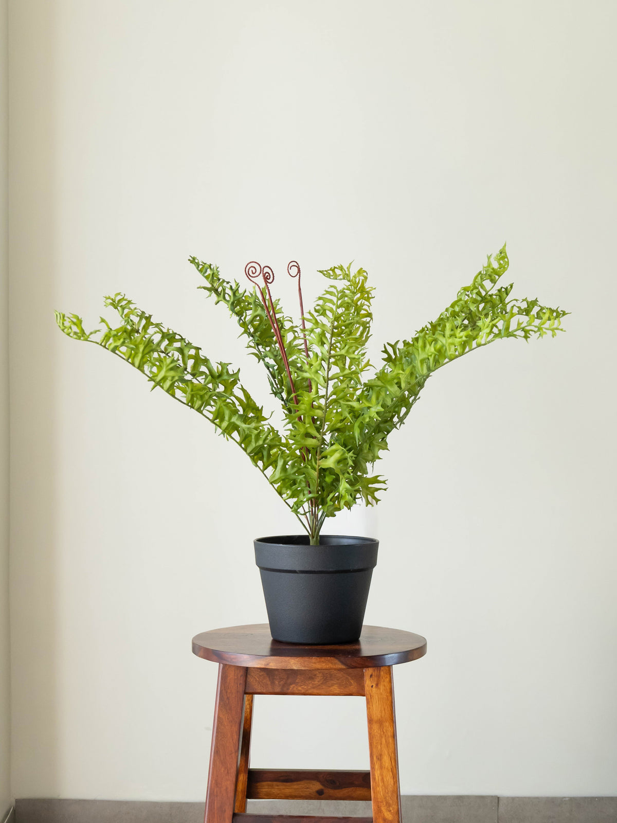 Artificial Wild Ripple Green Fern Plant 2.2ft