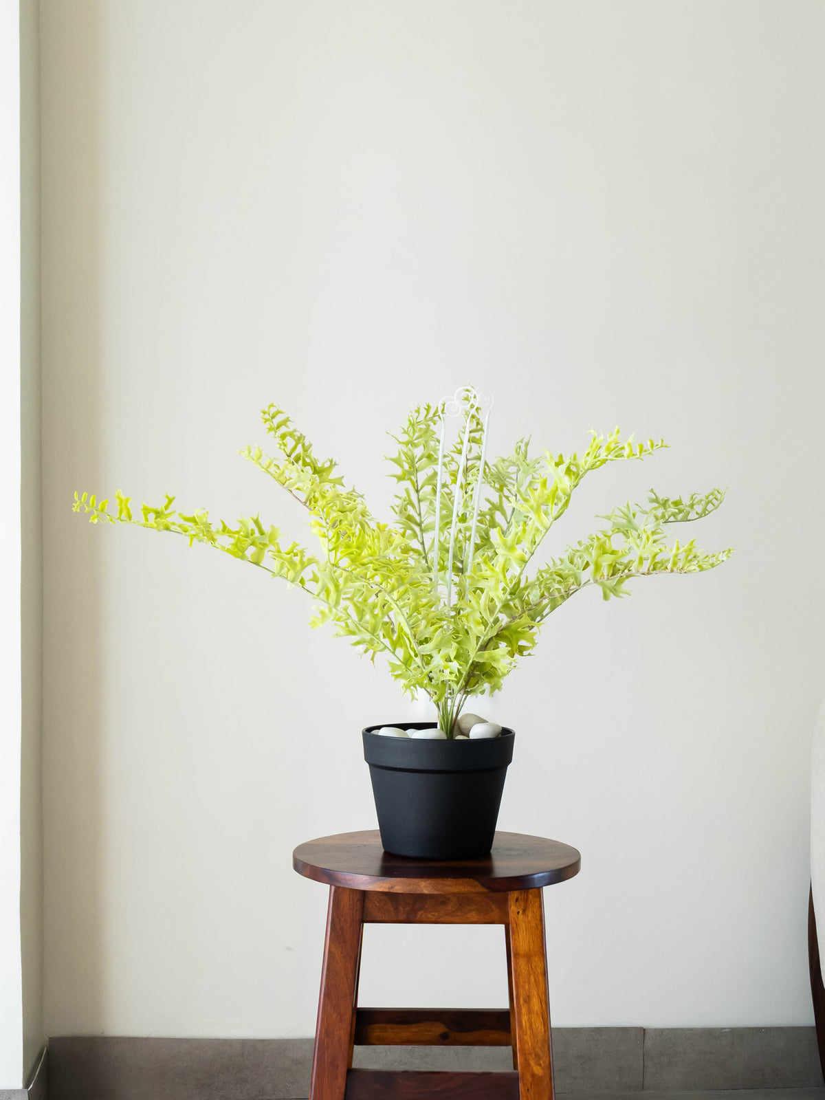 Artificial Wild Spiral Fern Plant 2.2ft