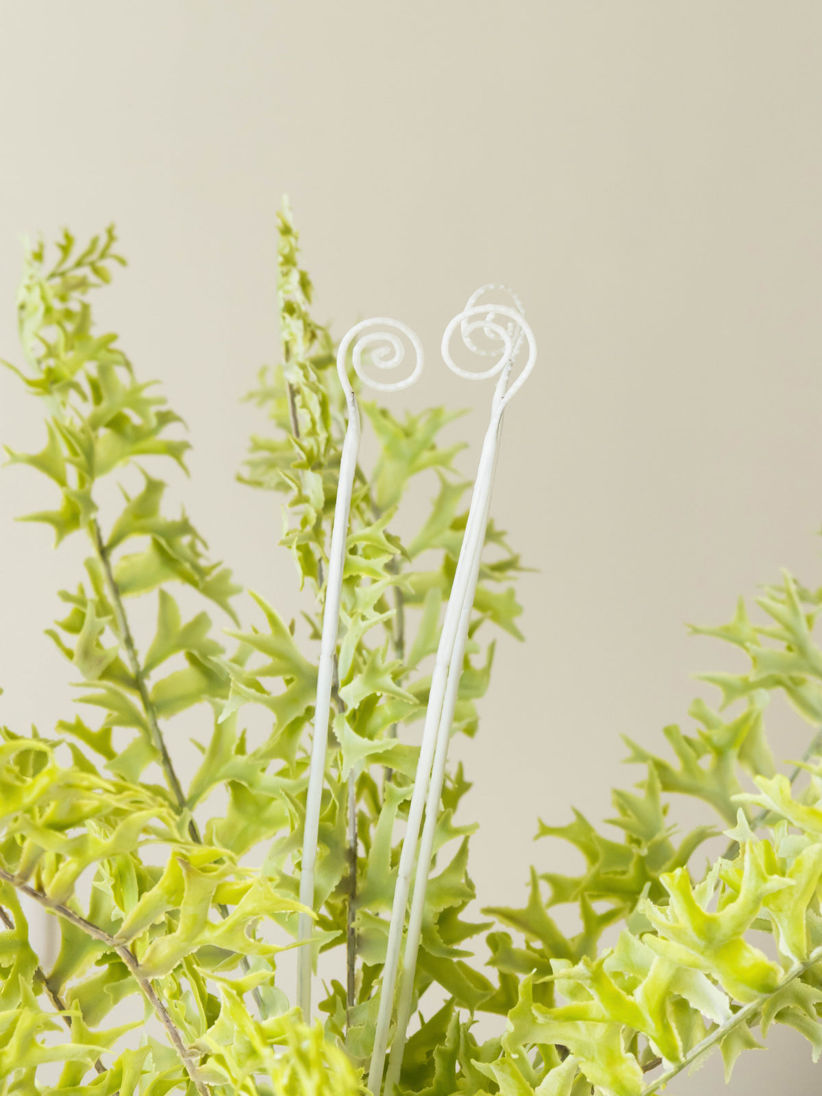 Artificial Wild Spiral Fern Plant 2.2ft