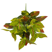 Artificial Croton Leaves Bunches 33cm (Pack of 3pc)