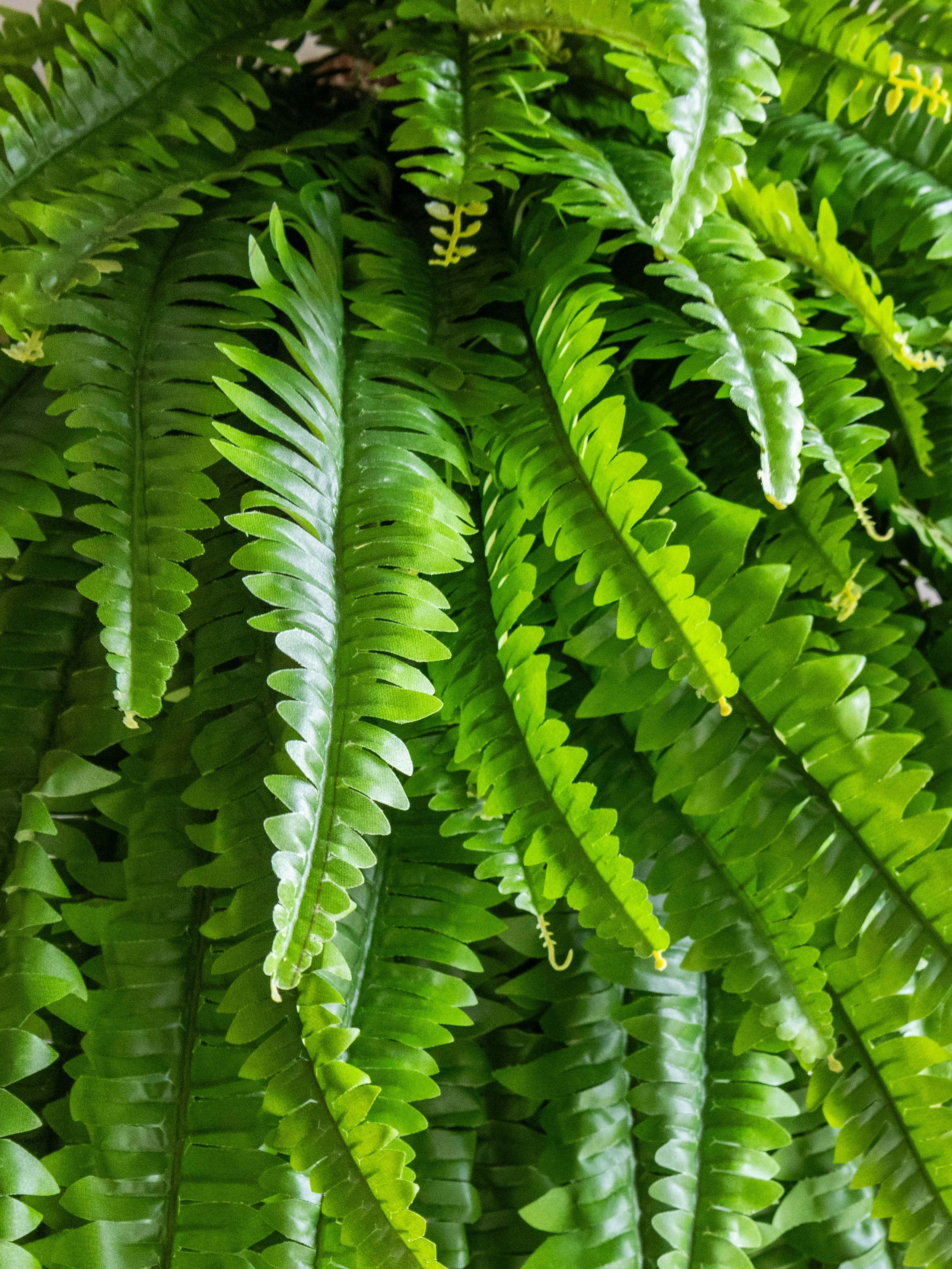 Artificial Boston Fern Hanging Plant 4.3ft