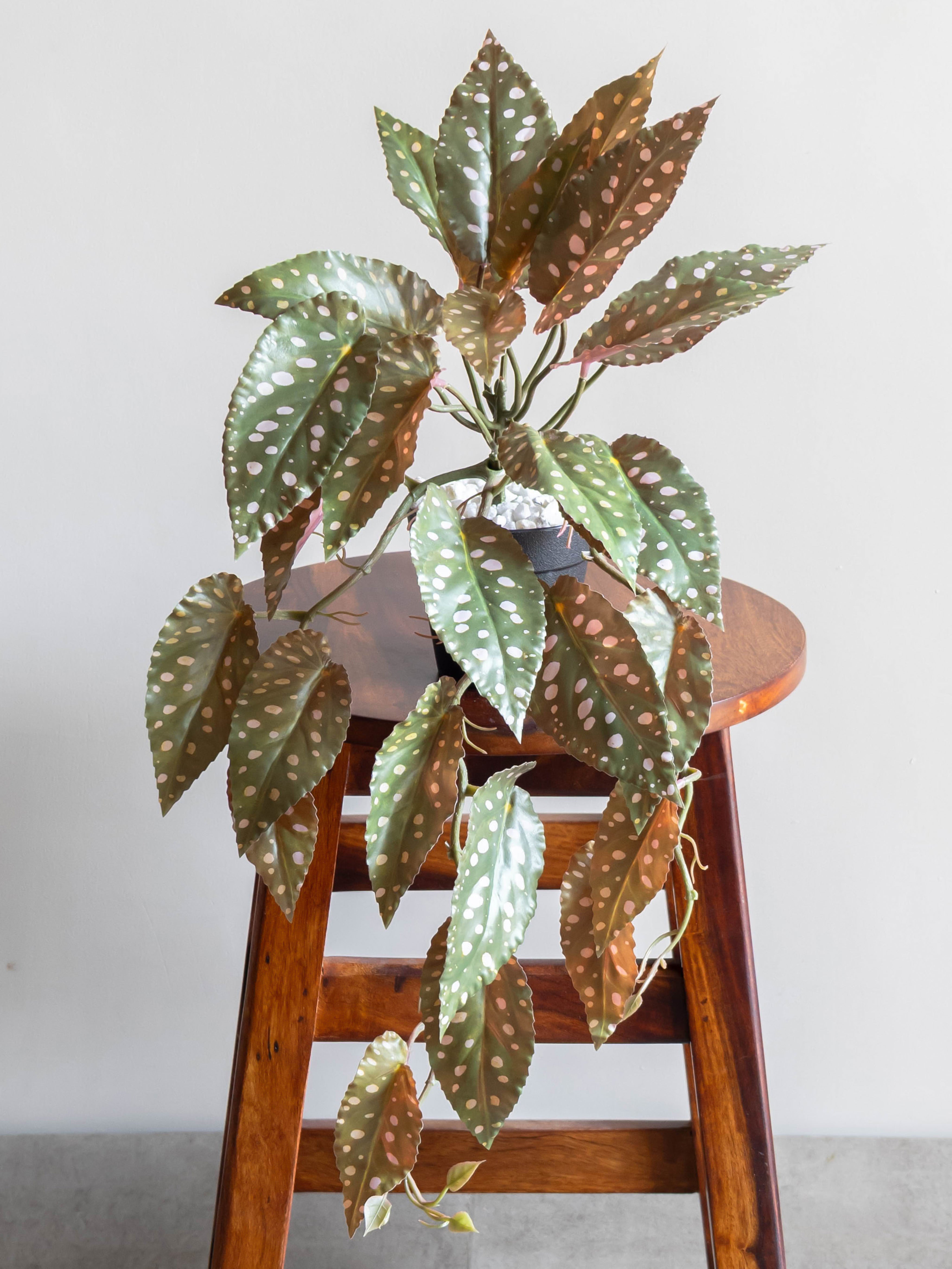 Artificial Green Begonia Leaf Creeper 50cm
