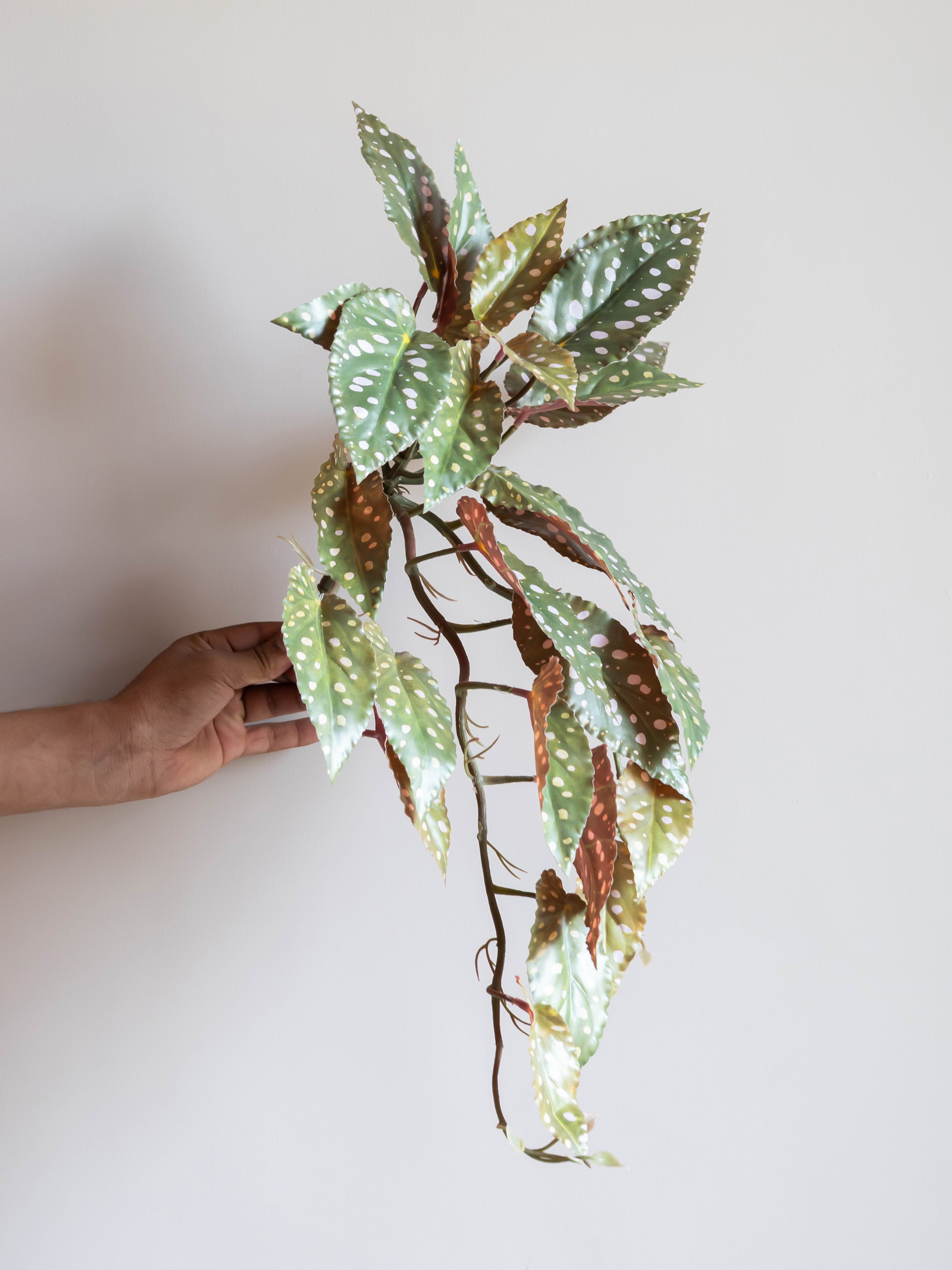 Artificial Green Begonia Leaf Creeper 50cm
