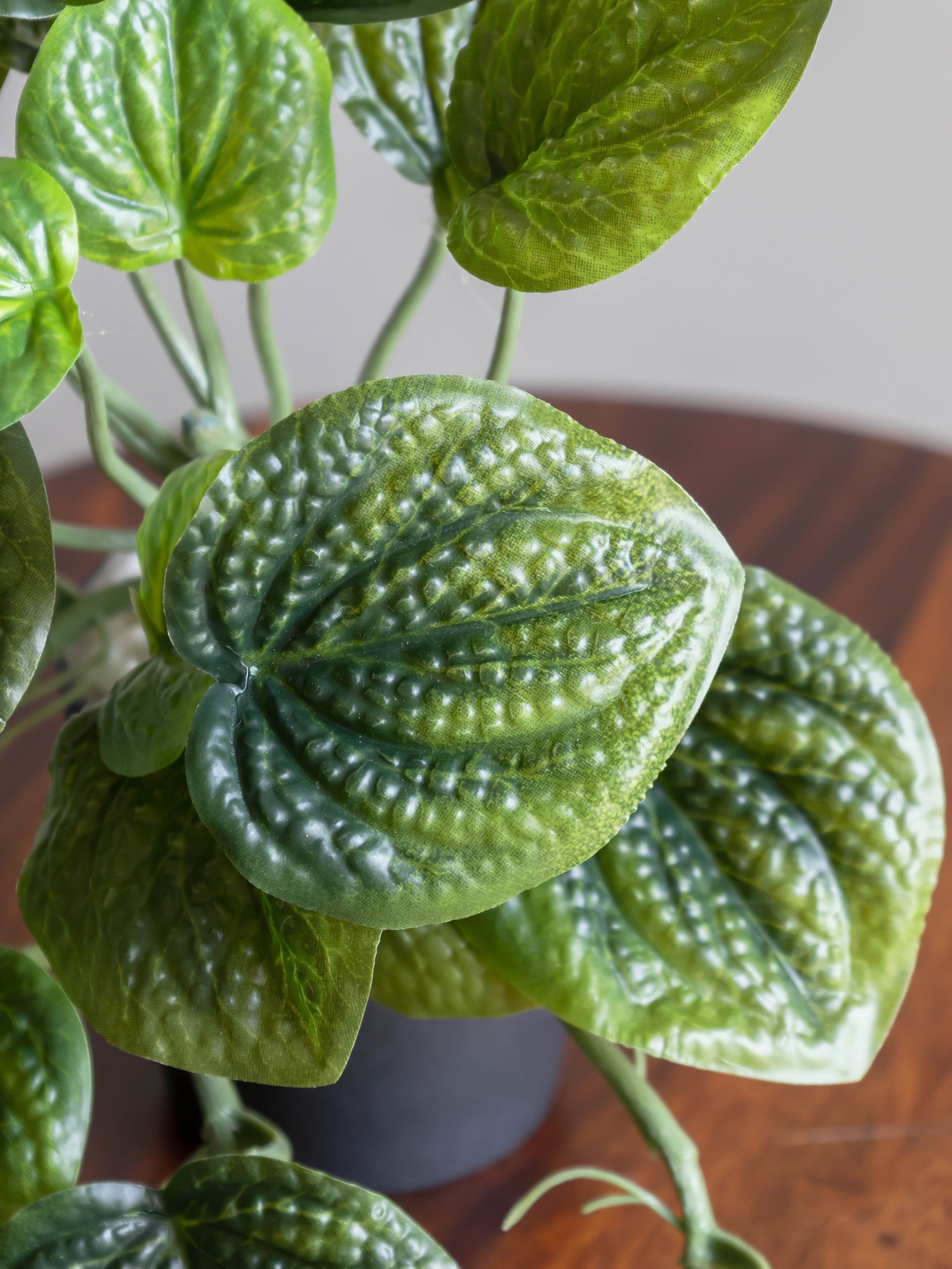 Artificial Betel Leaf Creeper 50cm