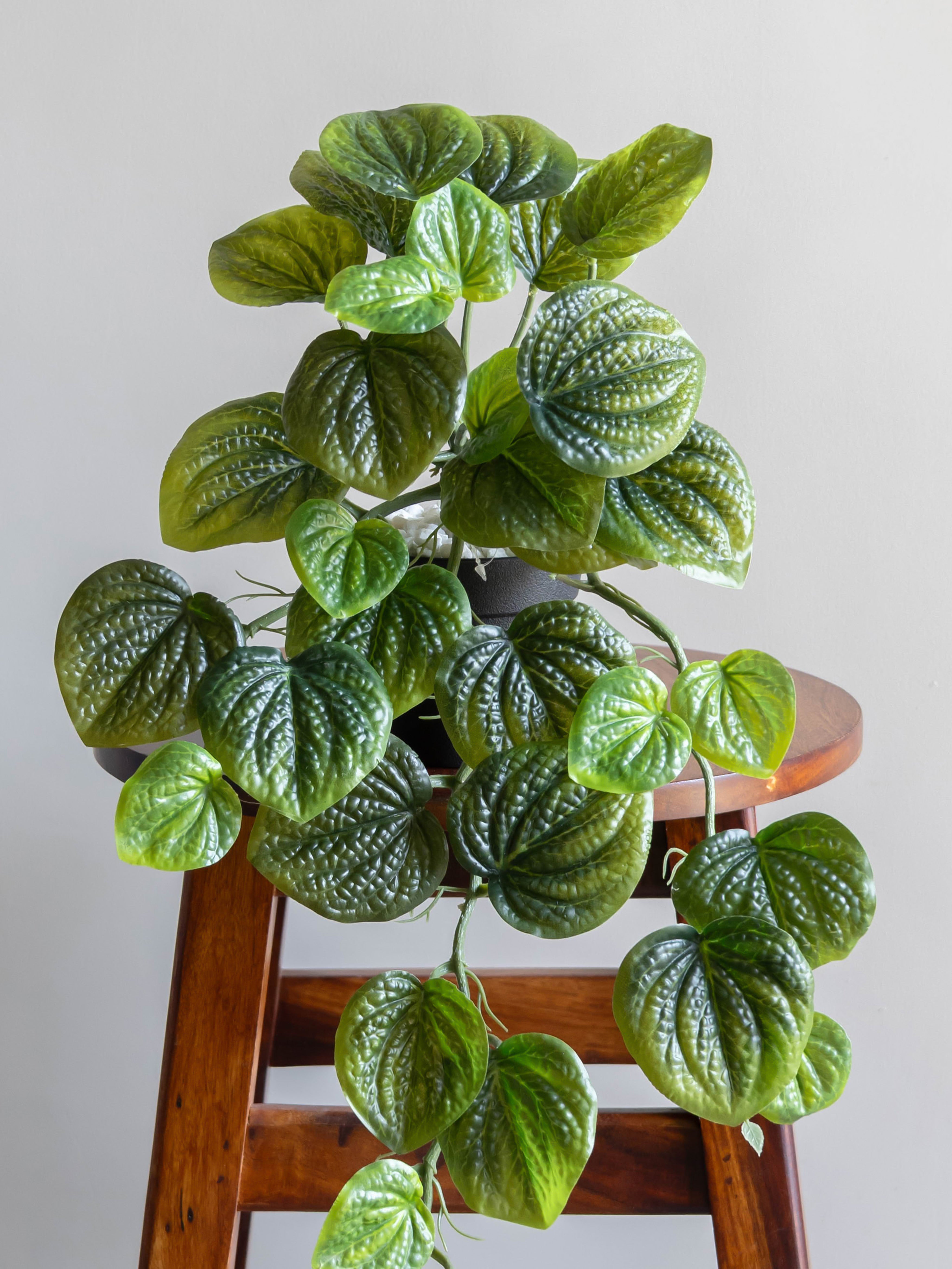 Artificial Betel Leaf Creeper 50cm