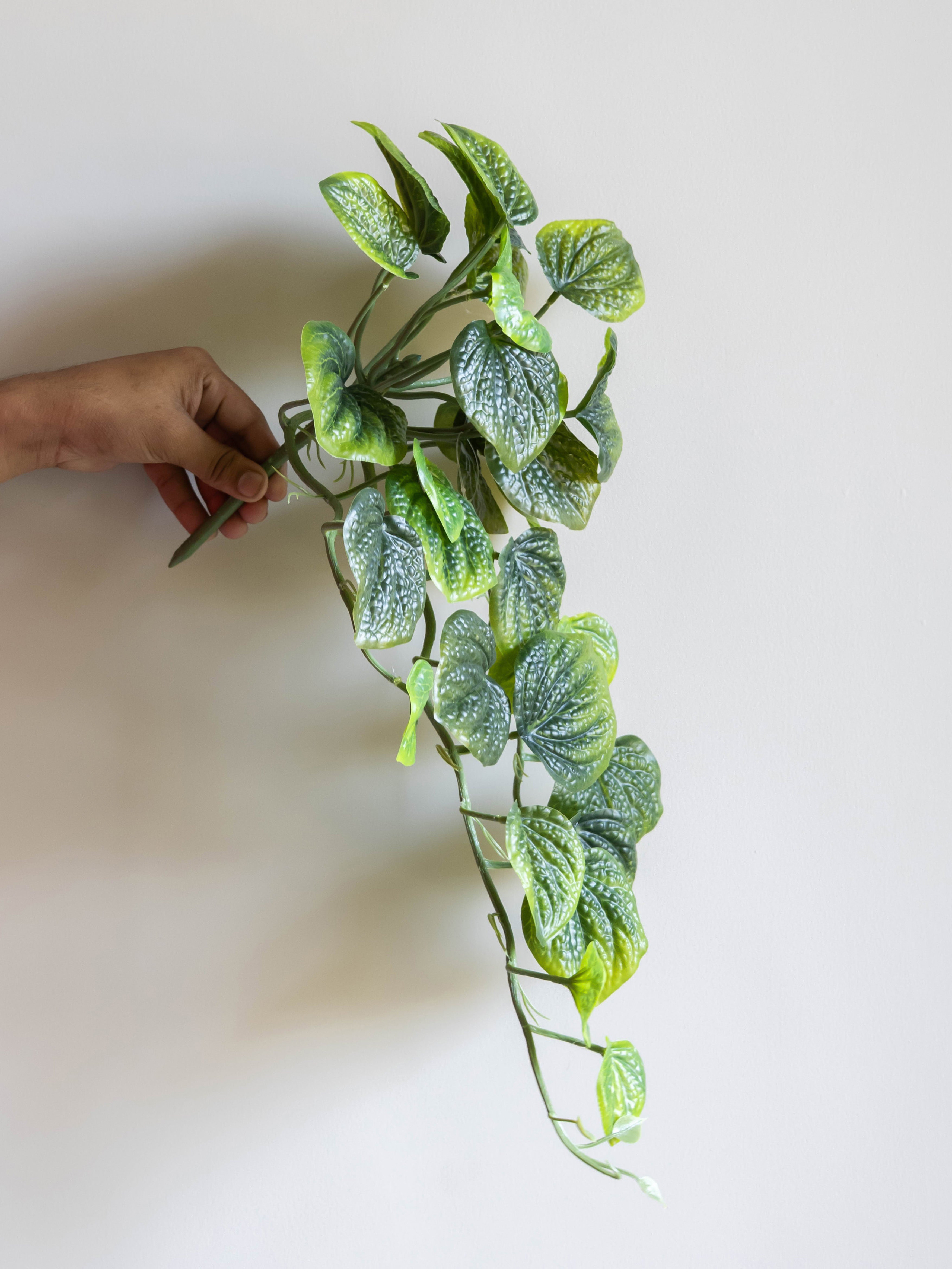 Artificial Betel Leaf Creeper 50cm
