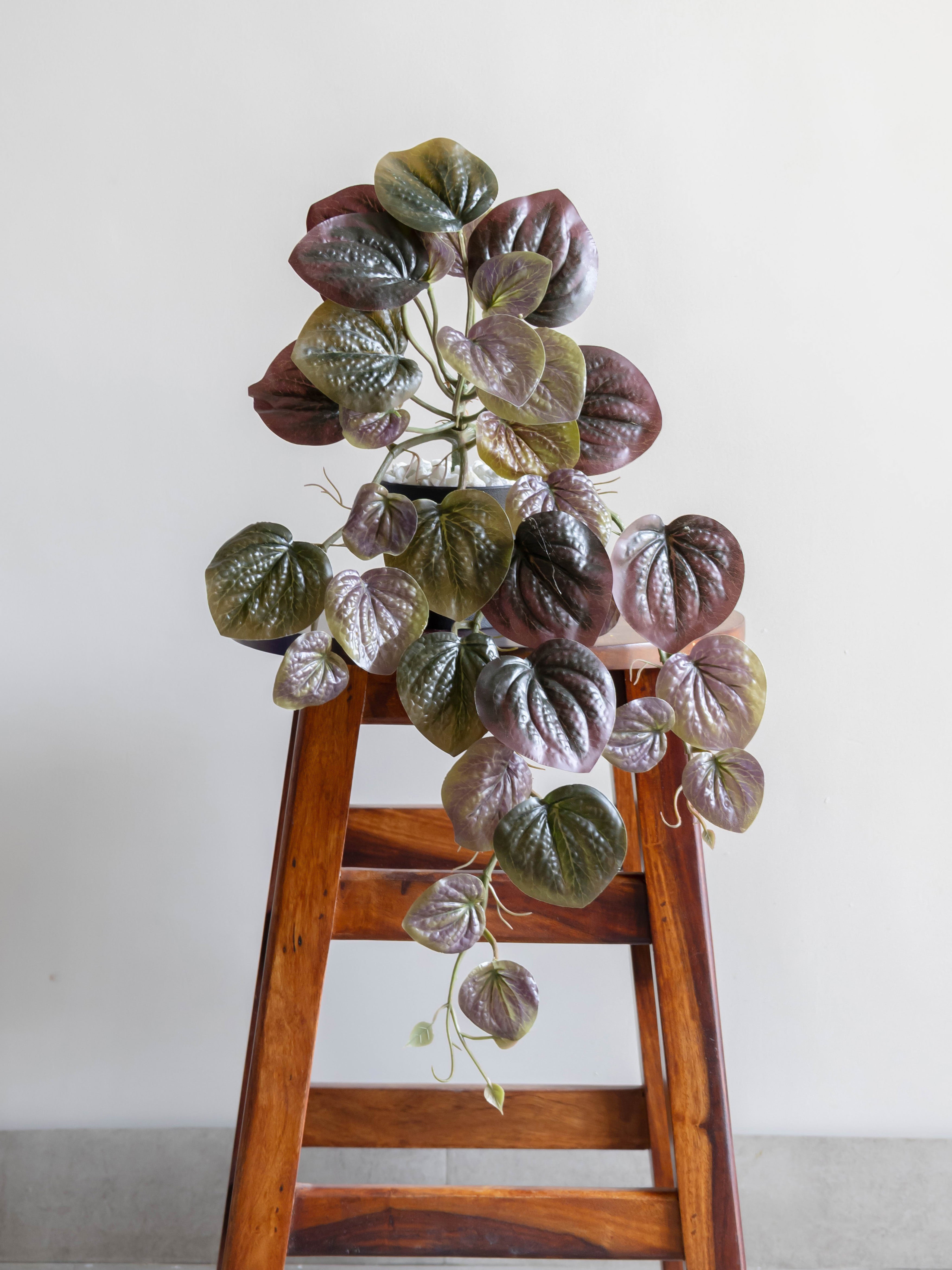 Artificial Purple Betel Leaf Creeper 50cm
