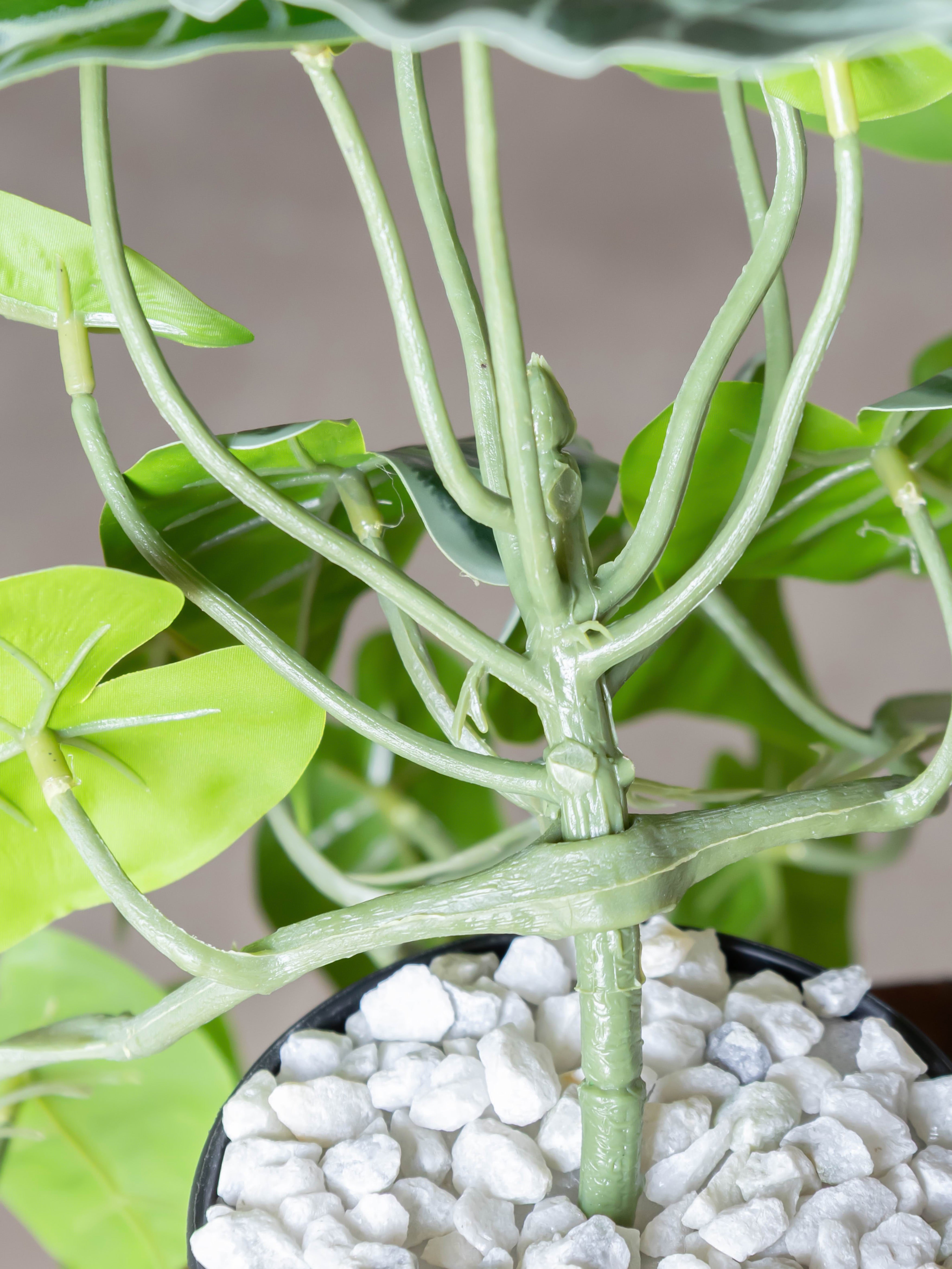 Artificial Alocasia Creeper 50cm