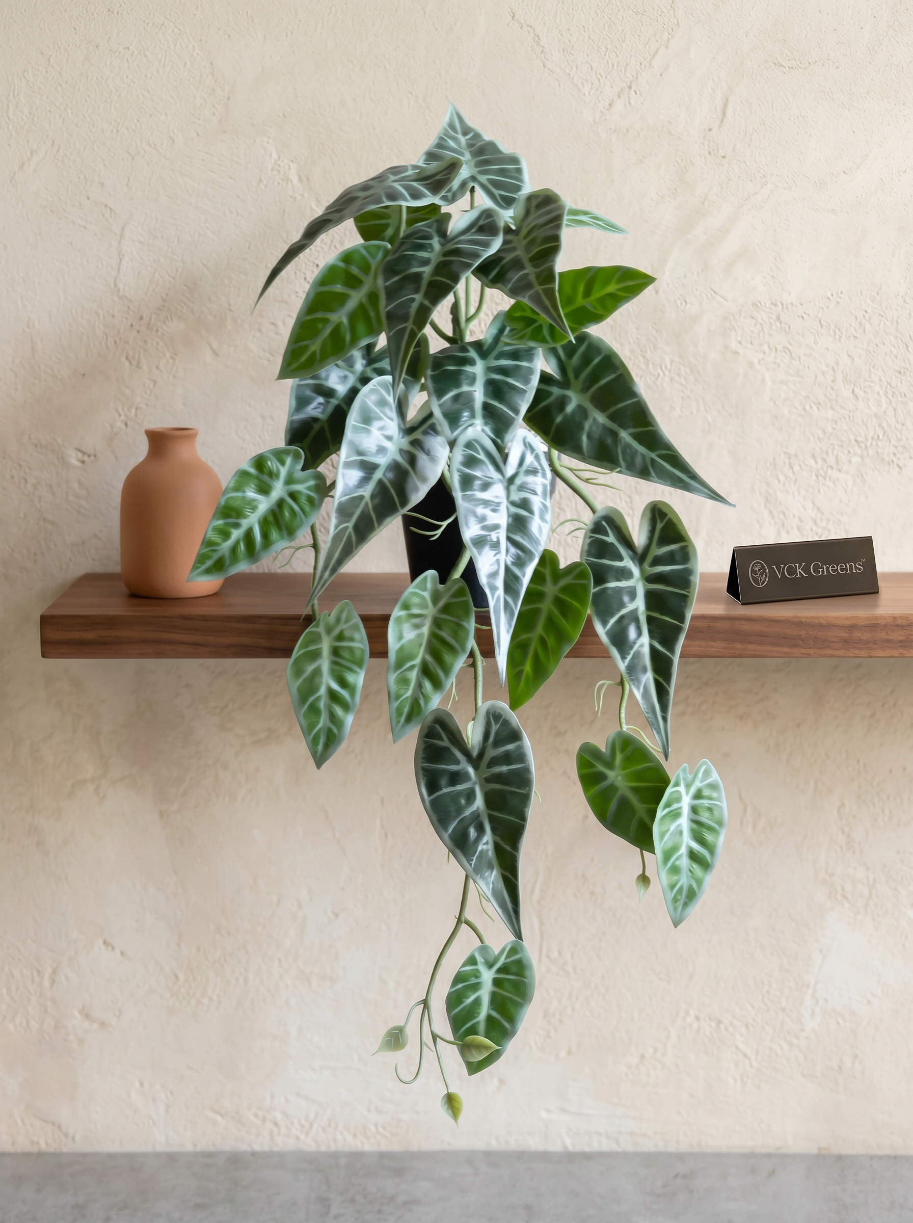 Artificial Alocasia Creeper 50cm