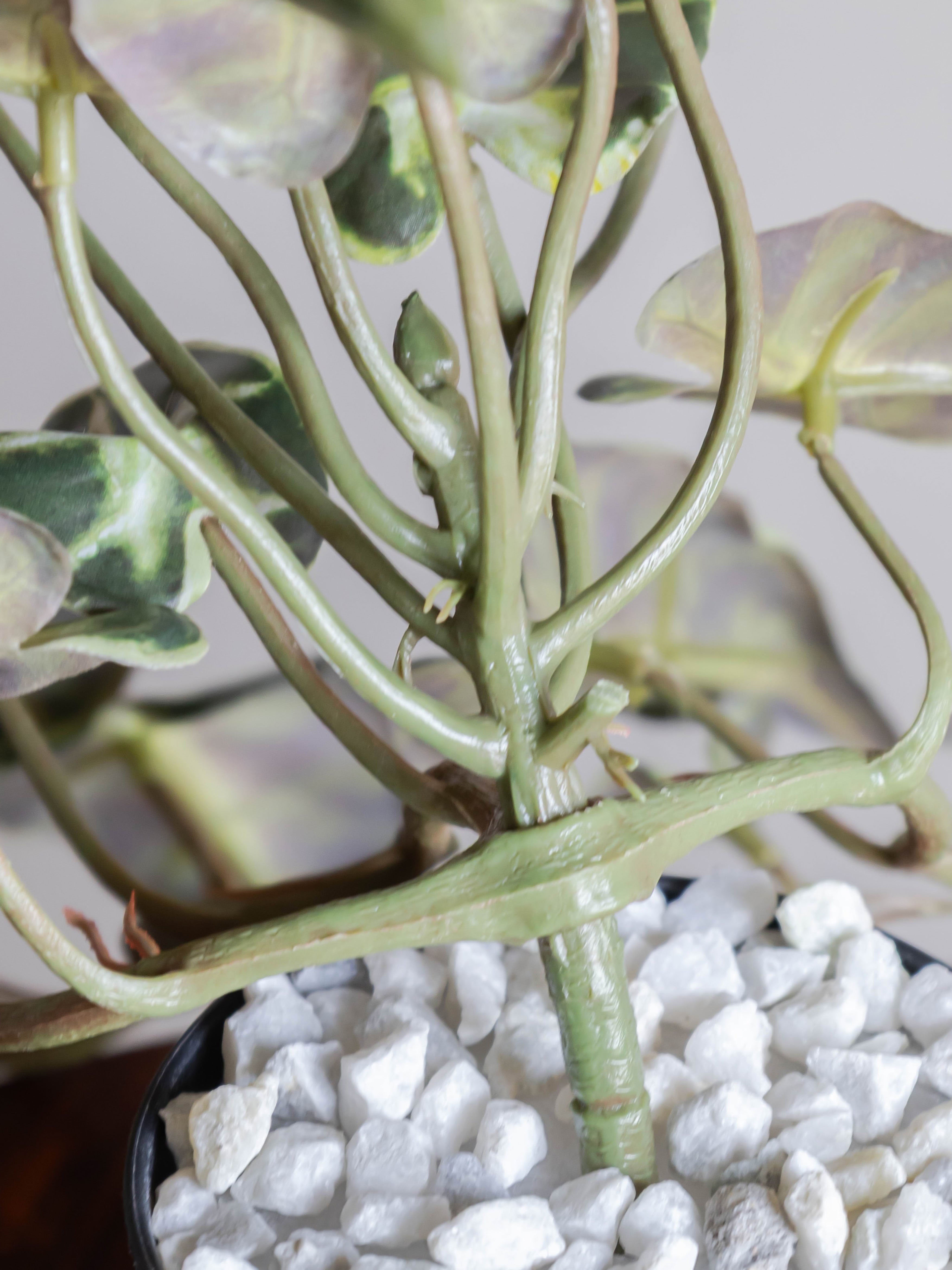 Artificial Polka Dot Begonia Creeper 50cm