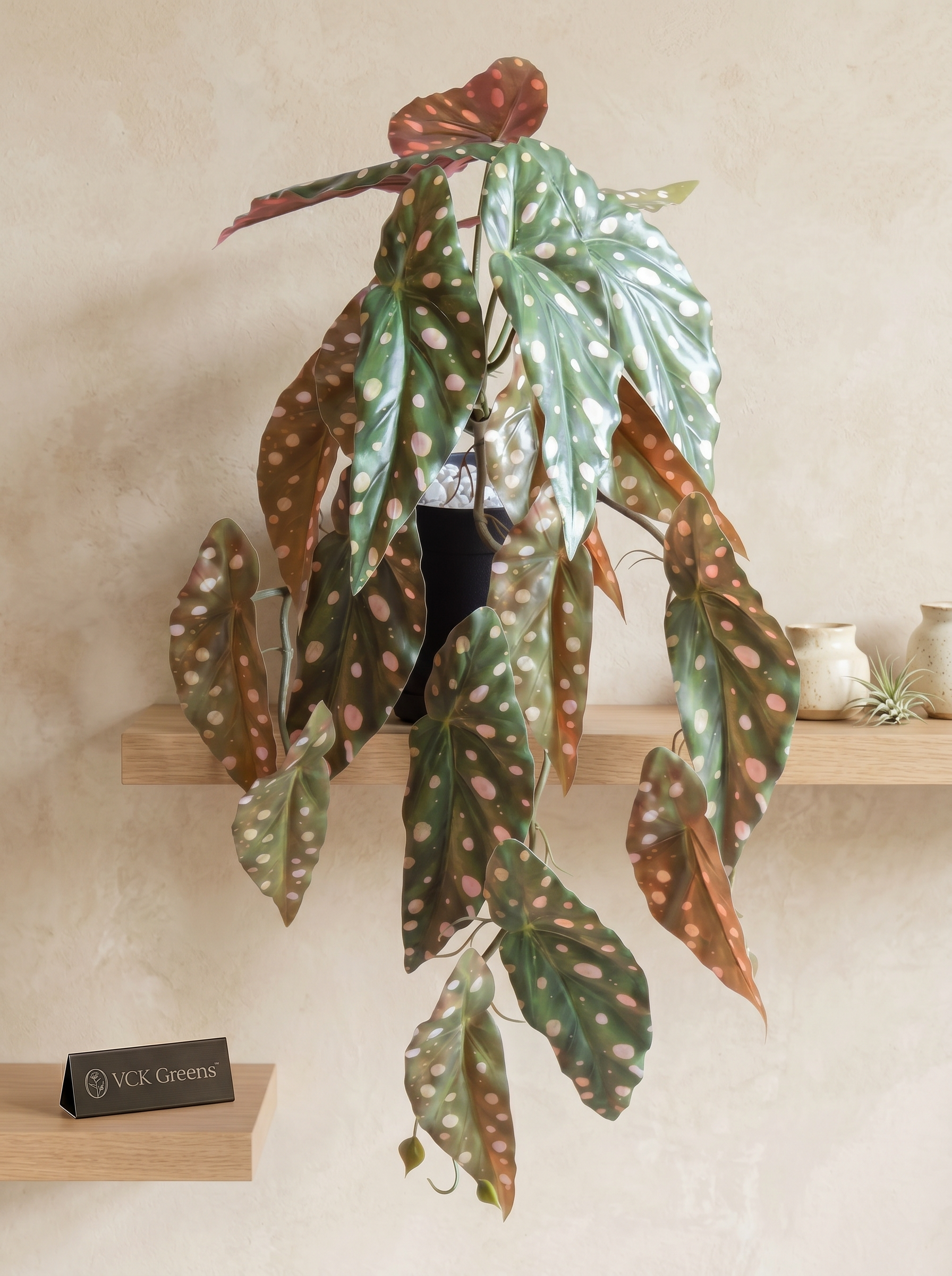Artificial Polka Dot Begonia Creeper 50cm