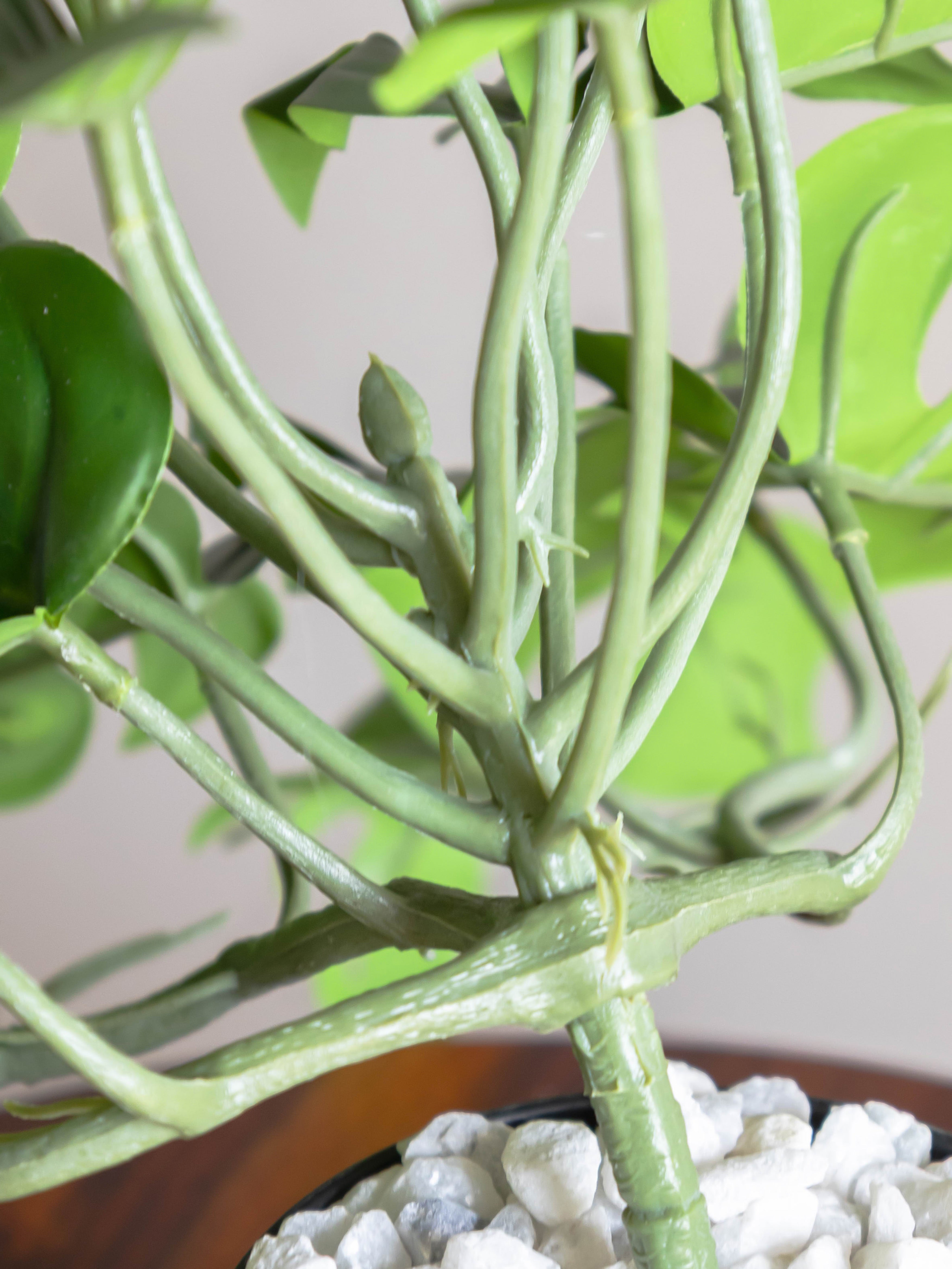 Artificial Split Philo Creeper 50cm