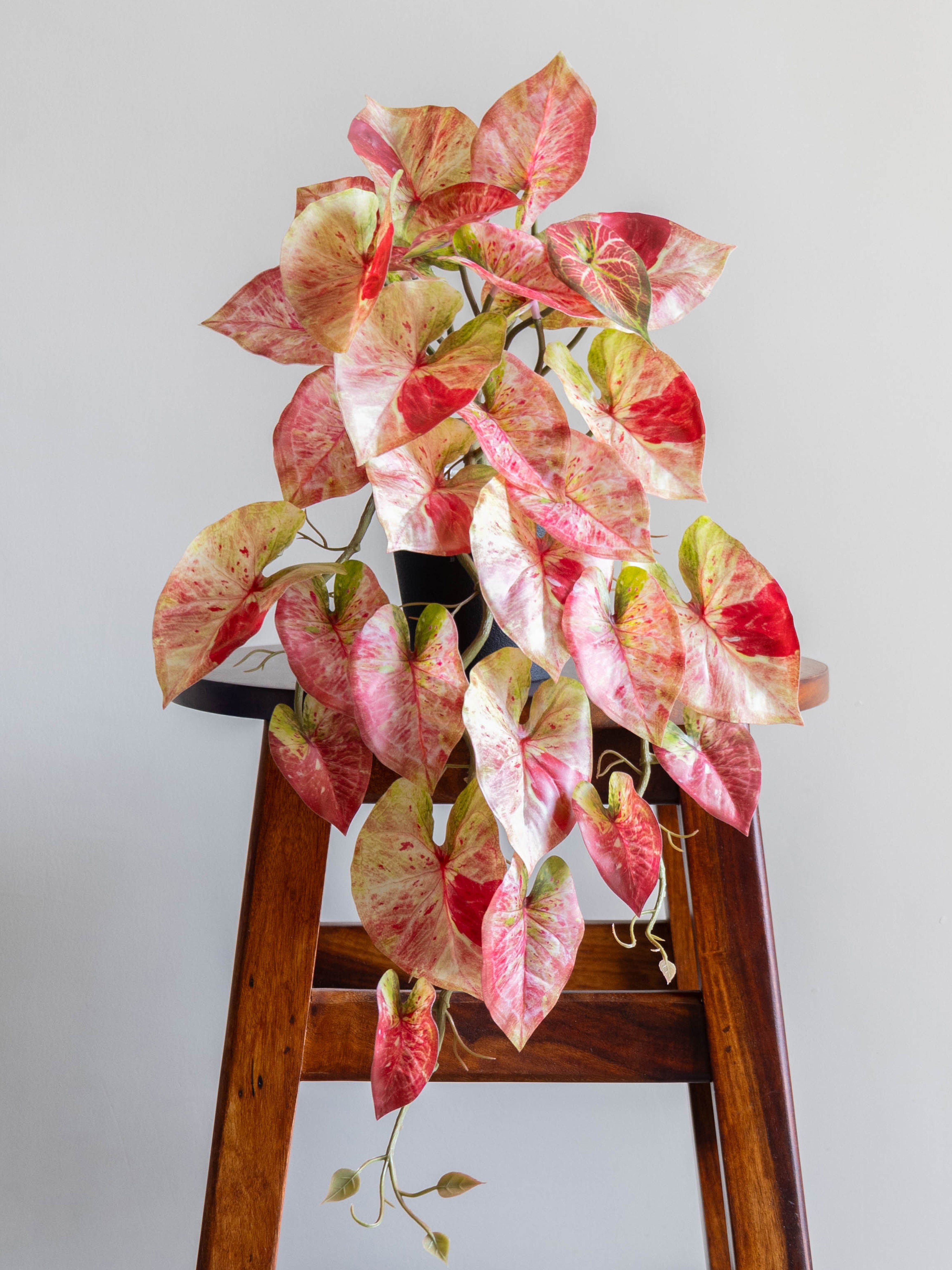 Artificial Pink Caladium Creeper 50cm