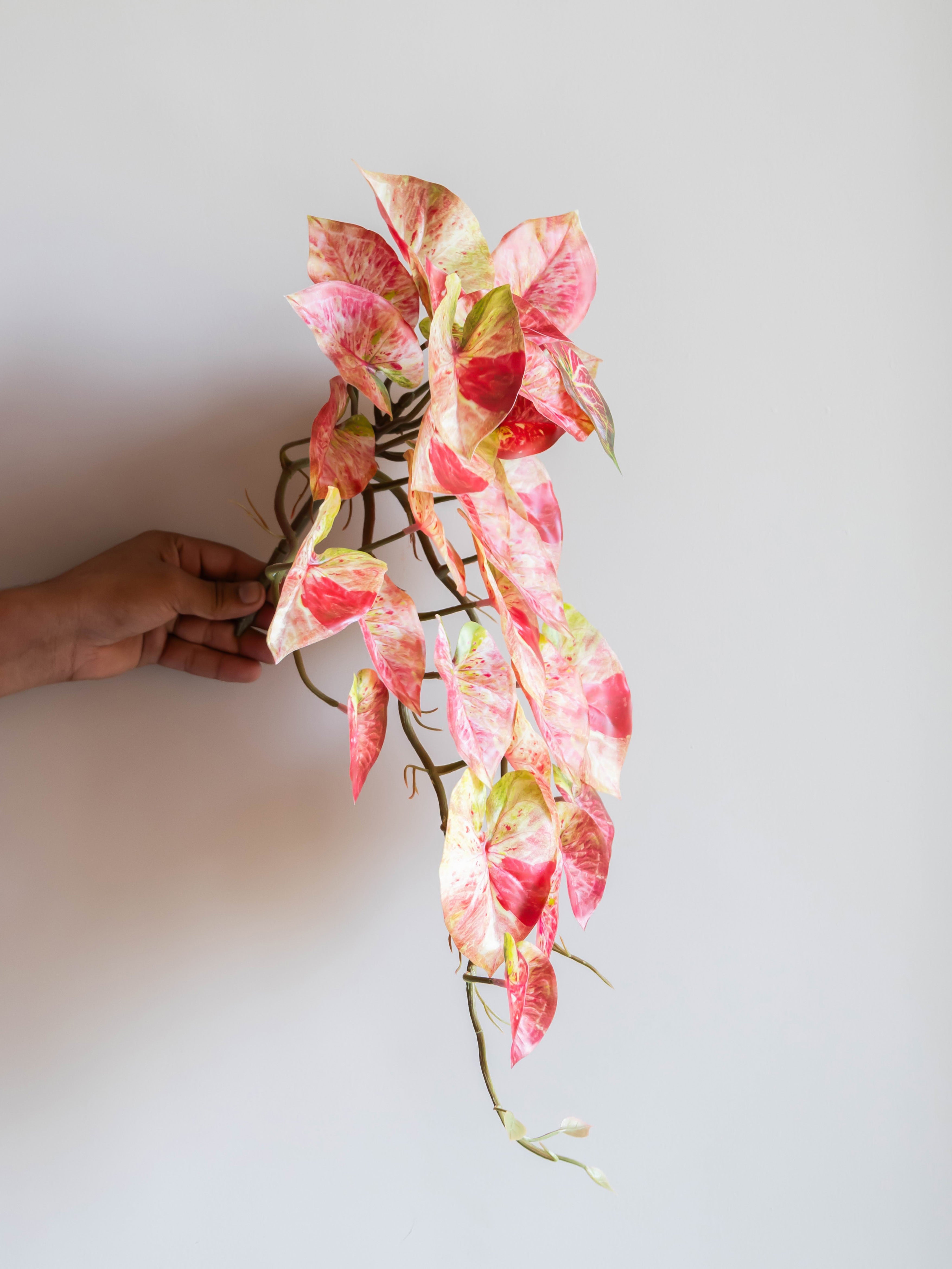 Artificial Pink Caladium Creeper 50cm