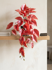 Artificial Crimson Red Caladium Creeper 50cm