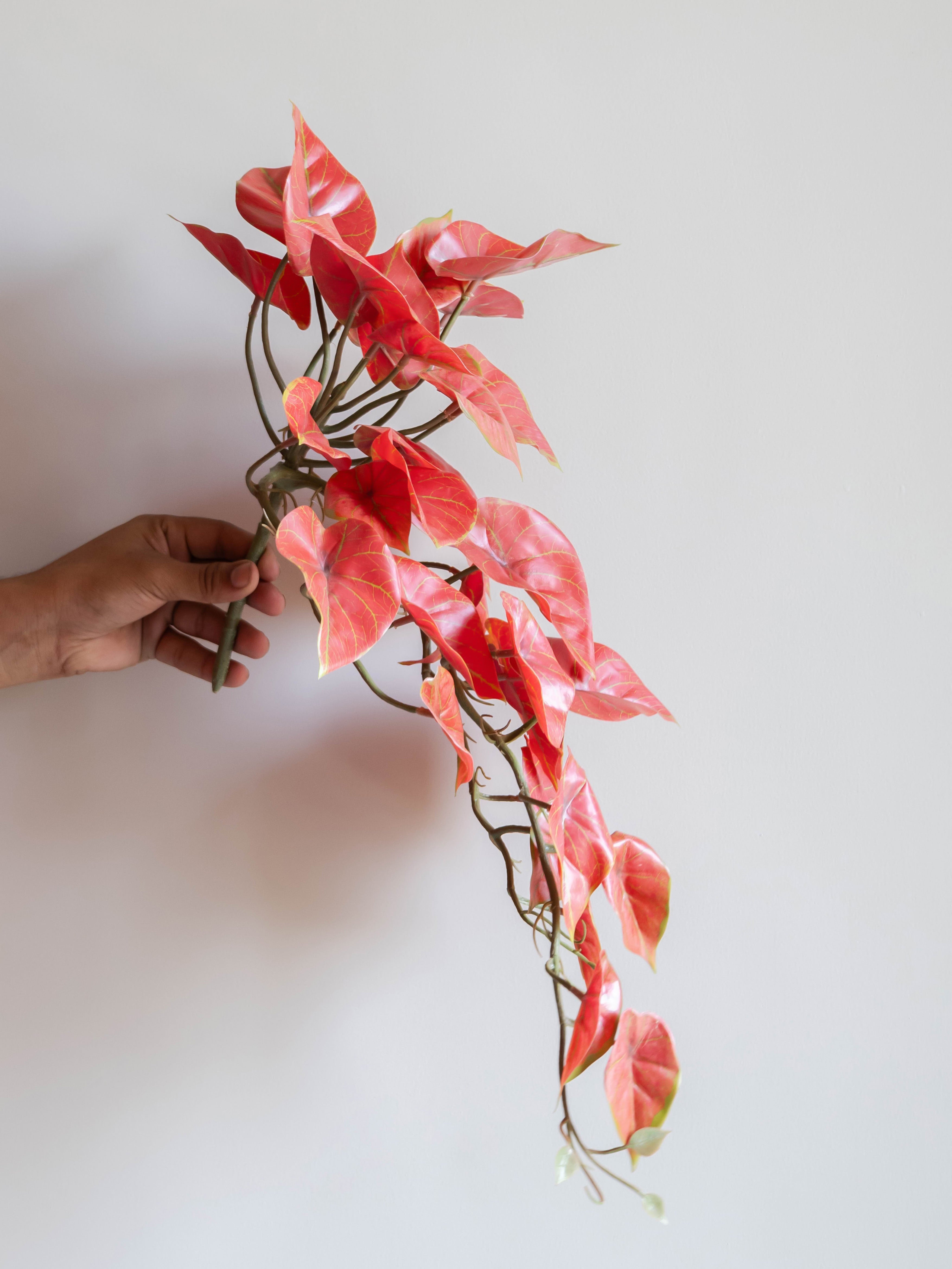 Artificial Crimson Red Caladium Creeper 50cm
