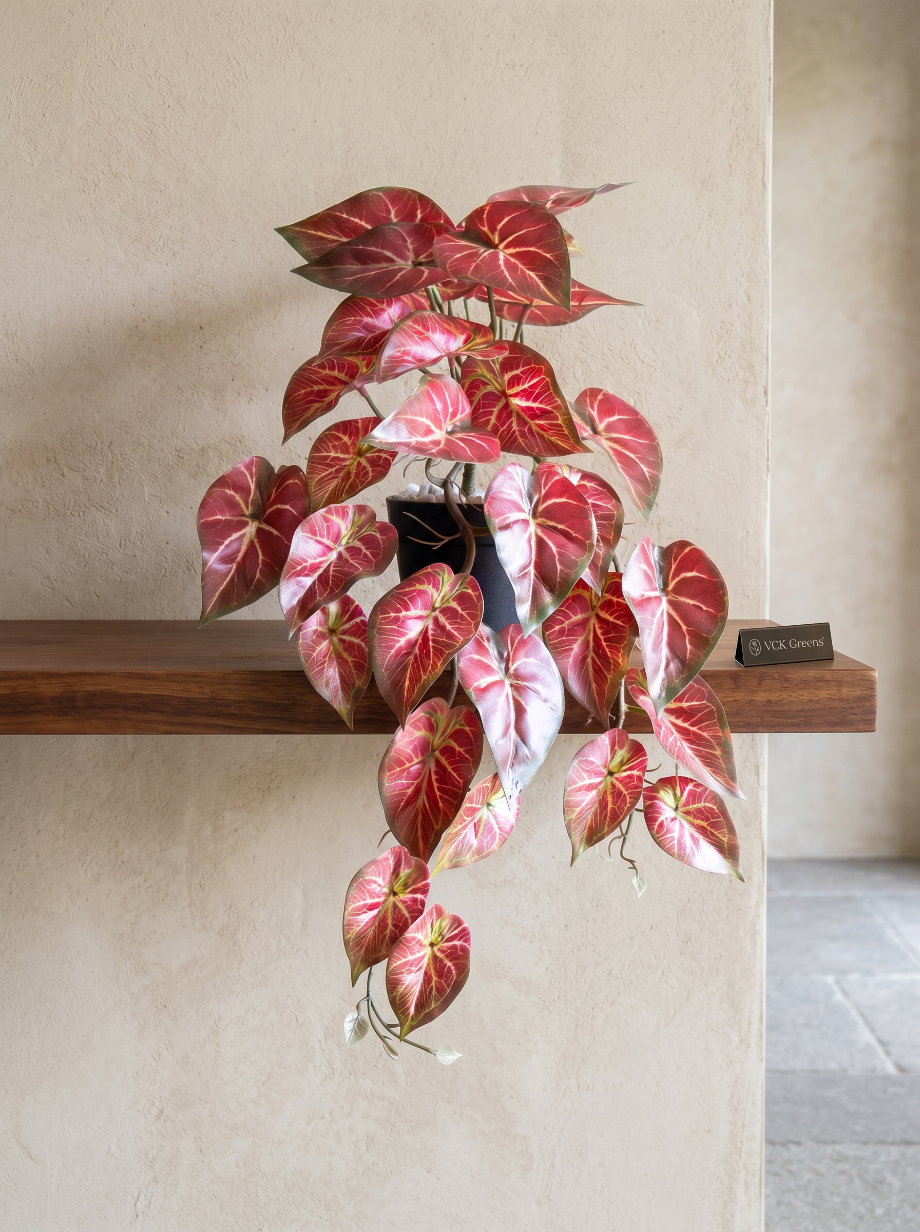 Artificial Bicolor Caladium Creeper 50cm