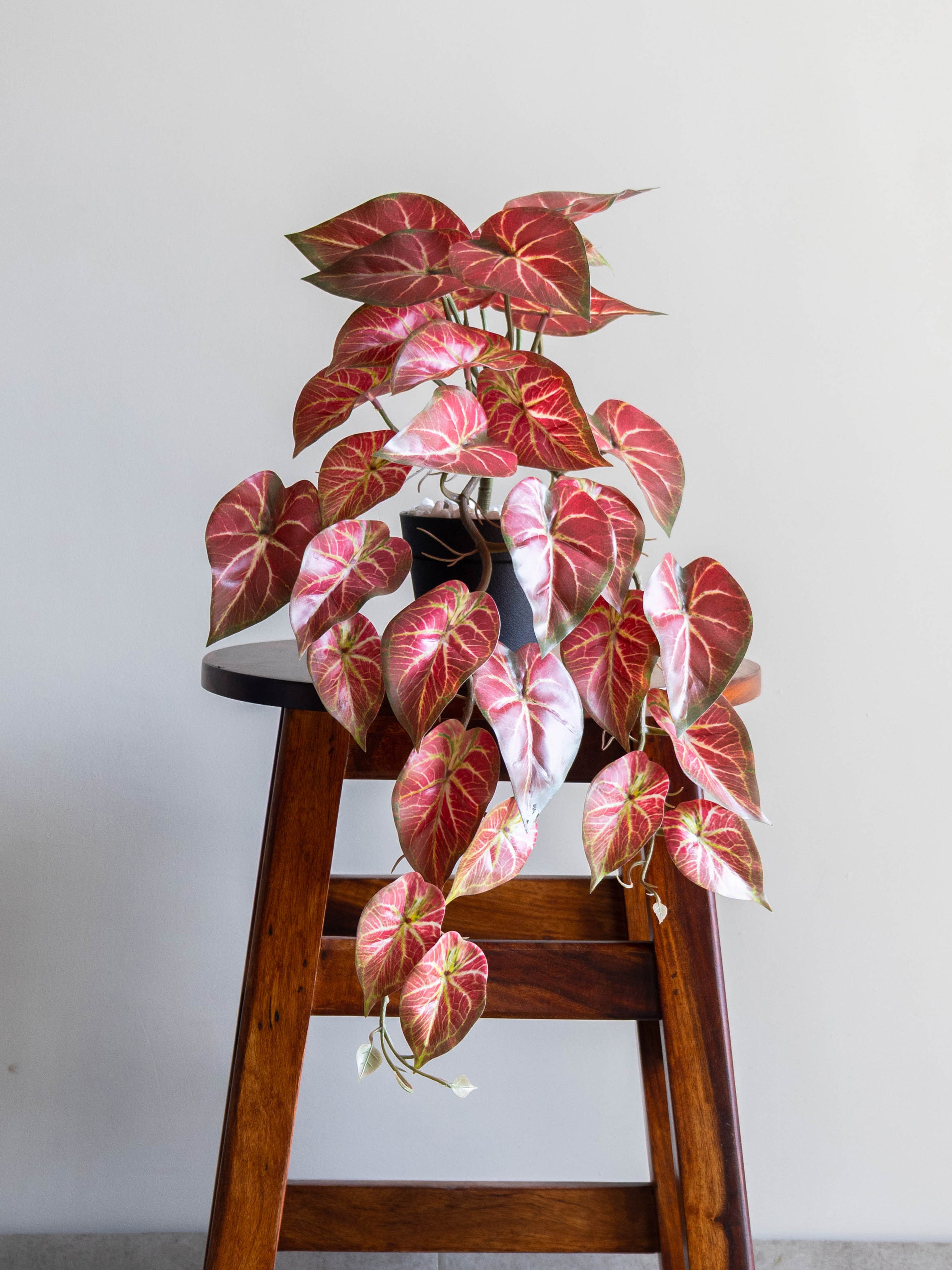Artificial Bicolor Caladium Creeper 50cm