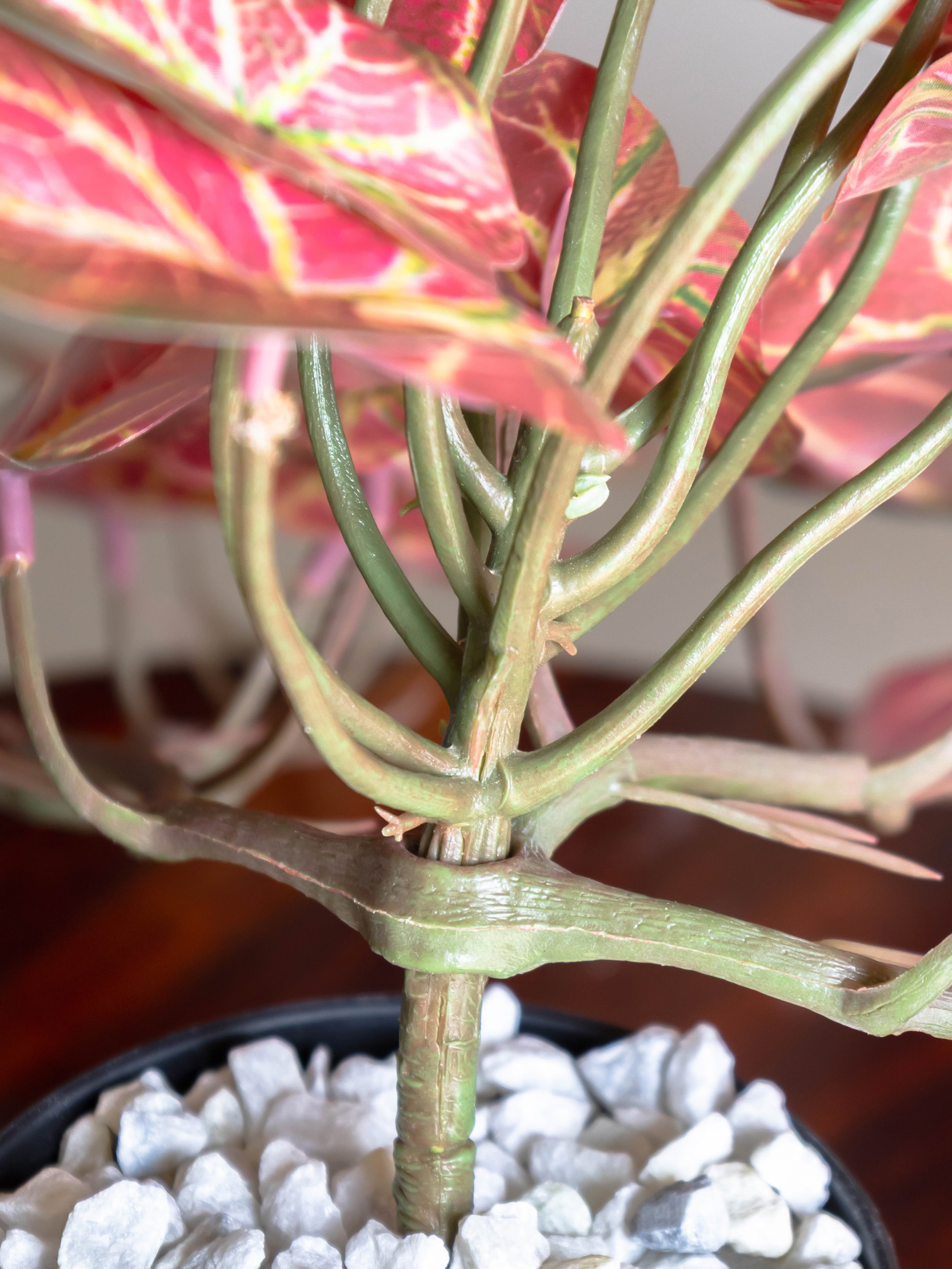 Artificial Bicolor Caladium Creeper 50cm