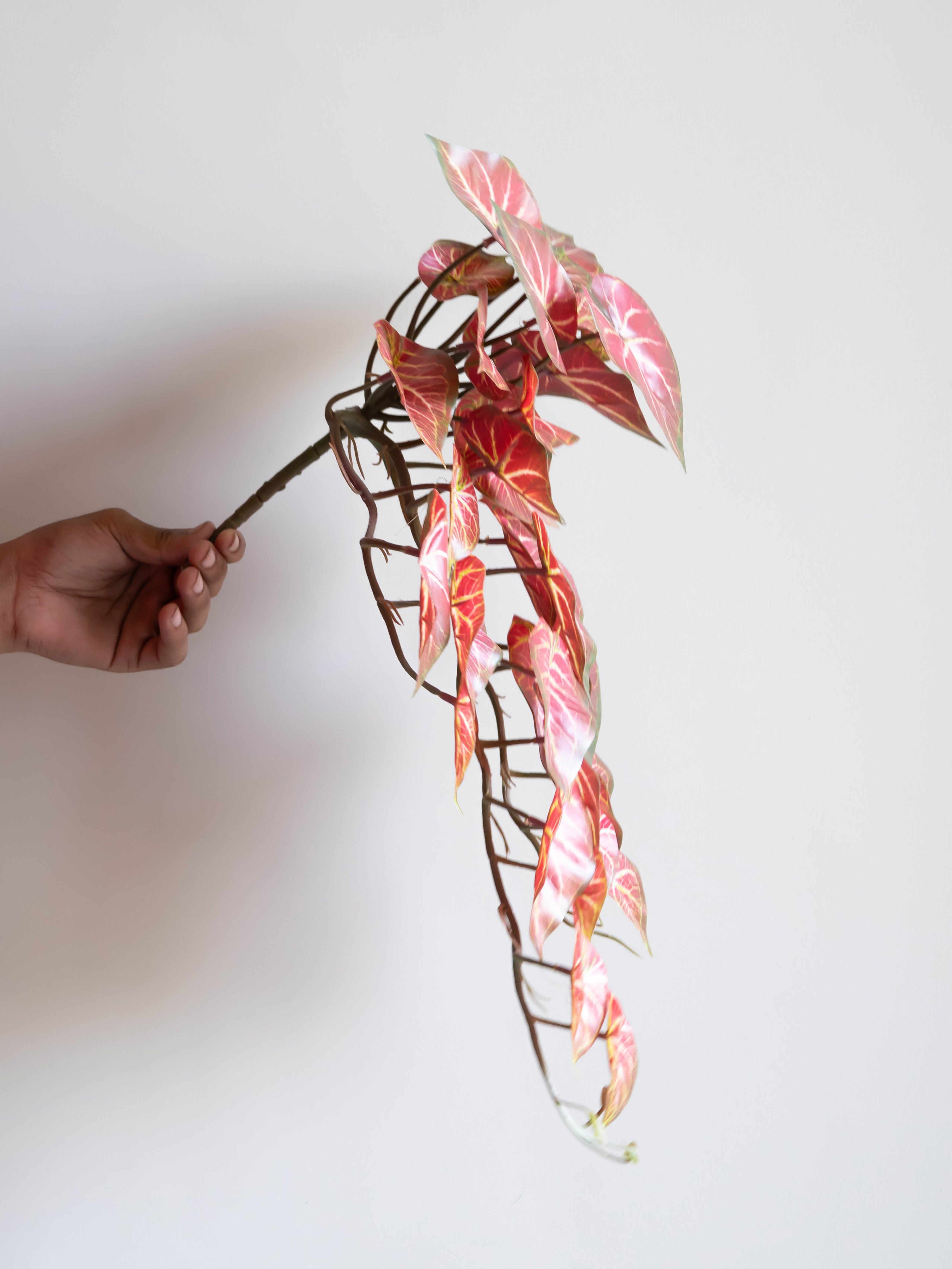 Artificial Bicolor Caladium Creeper 50cm