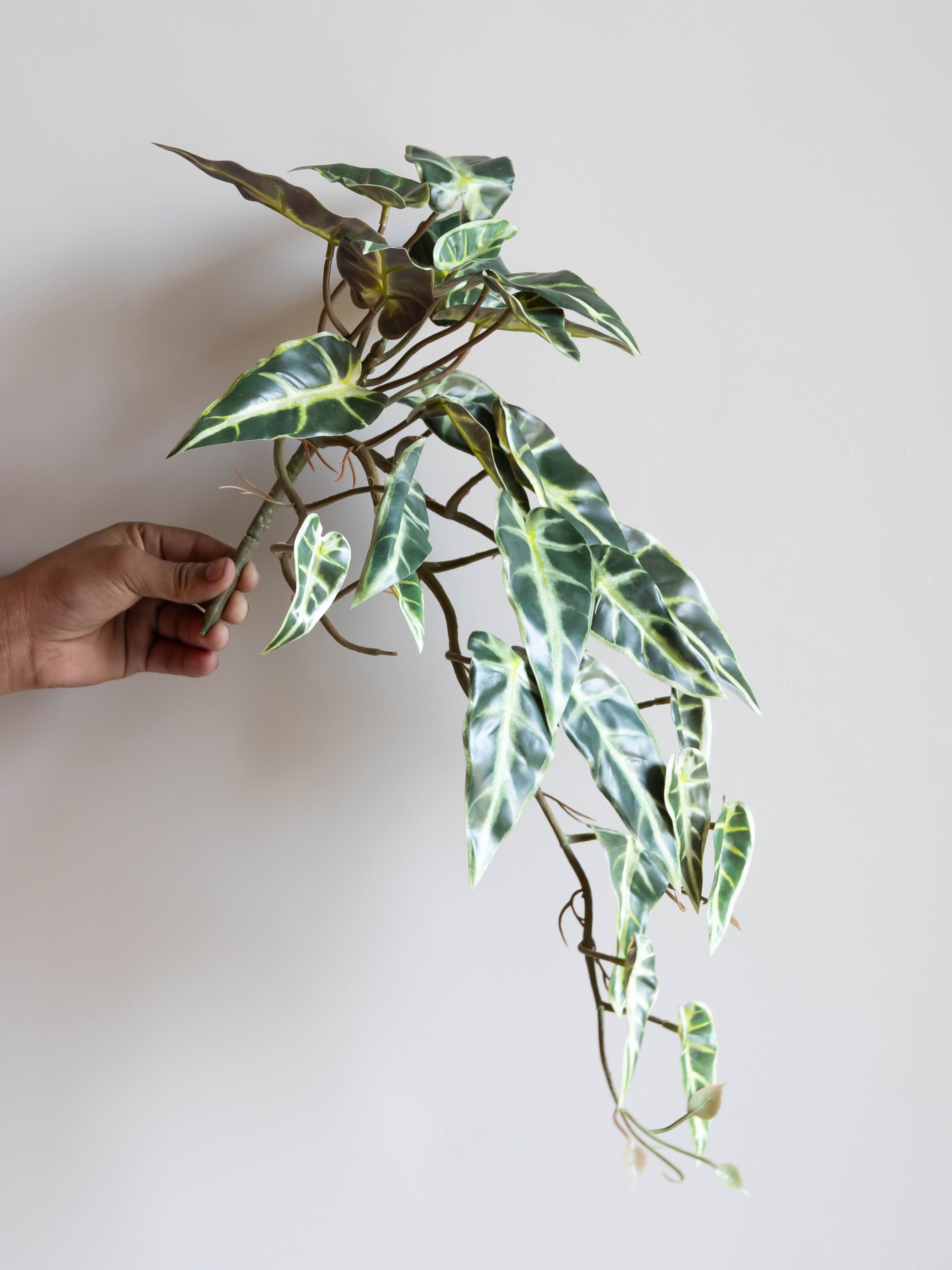 Artificial Variegated Alocasia Creeper