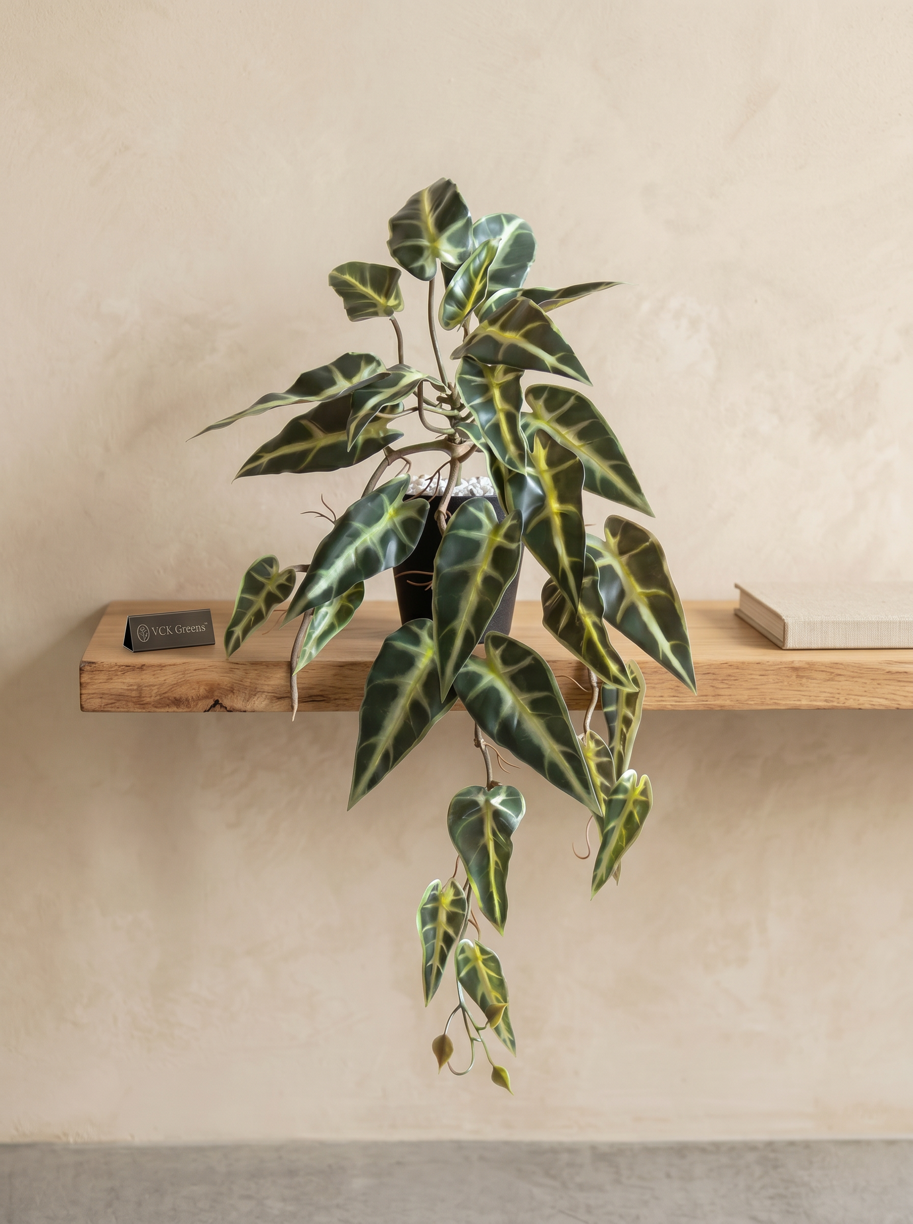 Artificial Variegated Alocasia Creeper