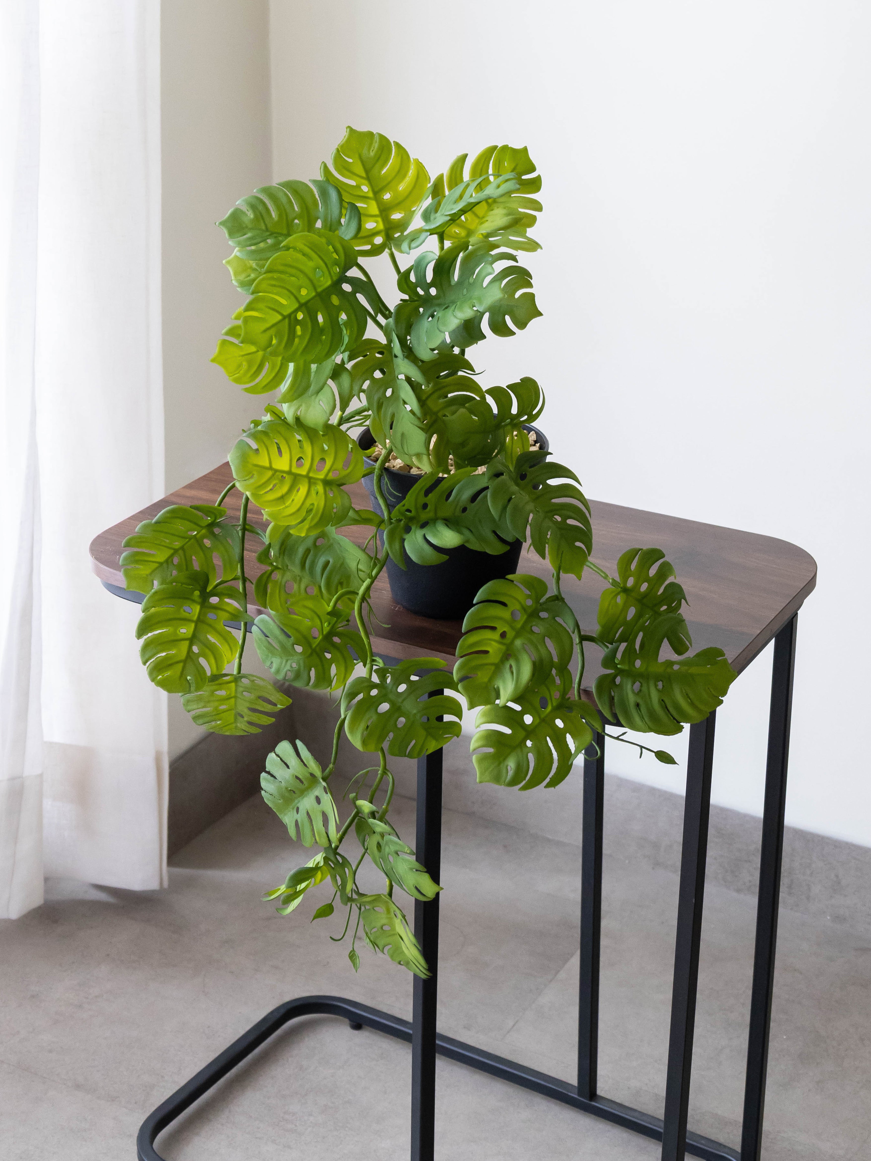 Artificial Split Philo Hanging Vine – 50 cm