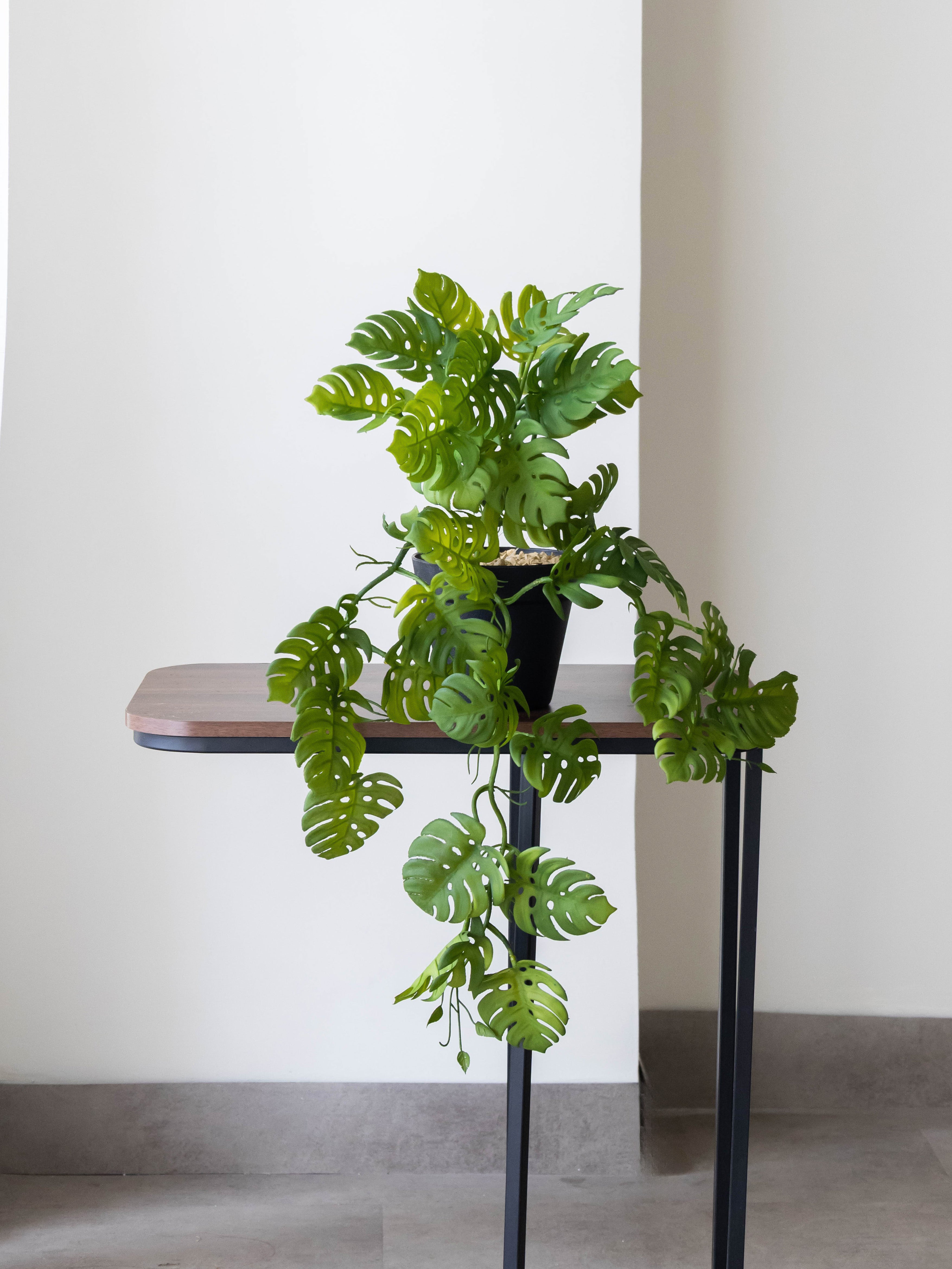 Artificial Split Philo Hanging Vine – 50 cm