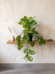 Artificial Split Philo Hanging Vine – 50 cm