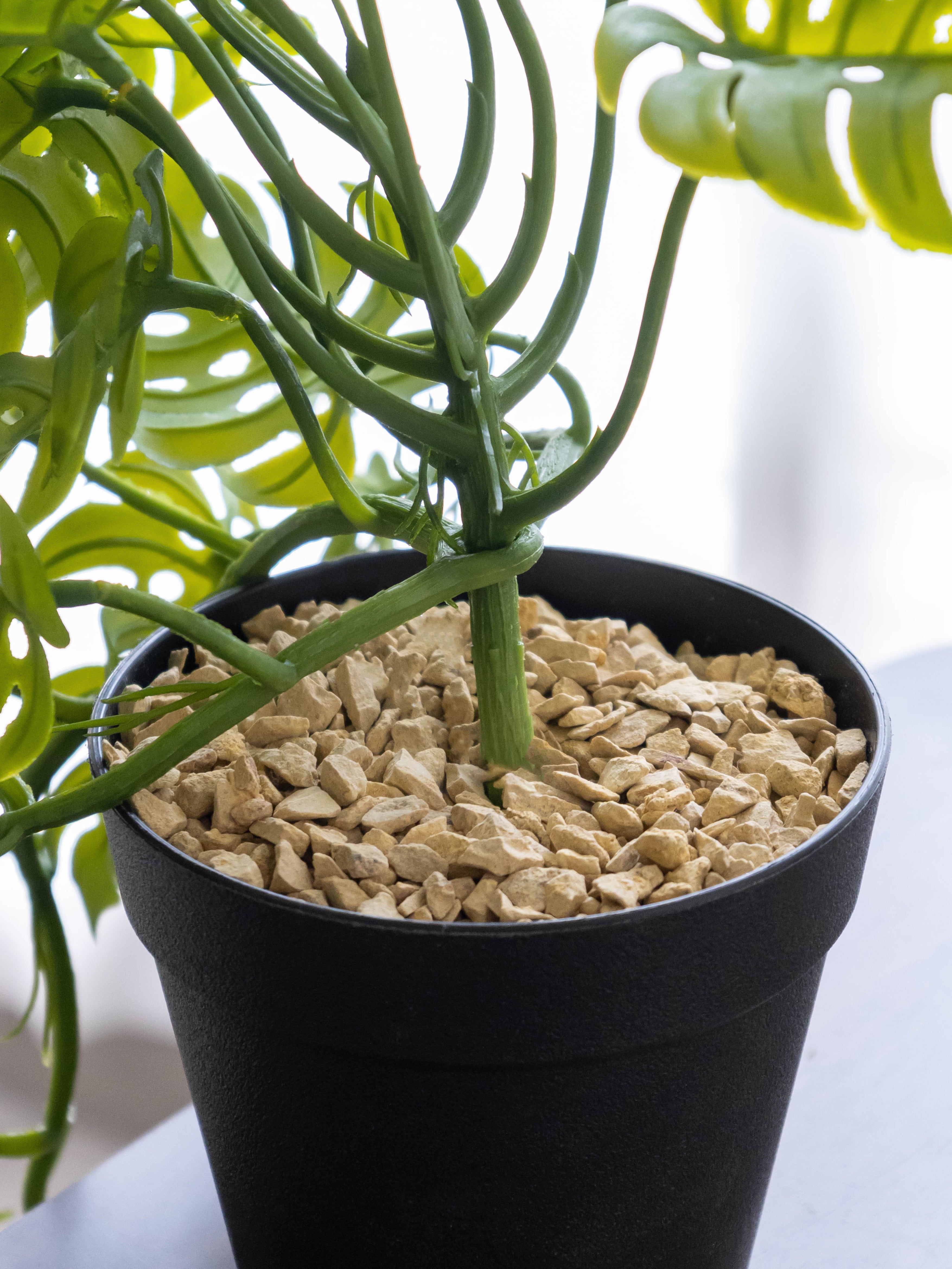 Artificial Split Philo Hanging Vine – 50 cm