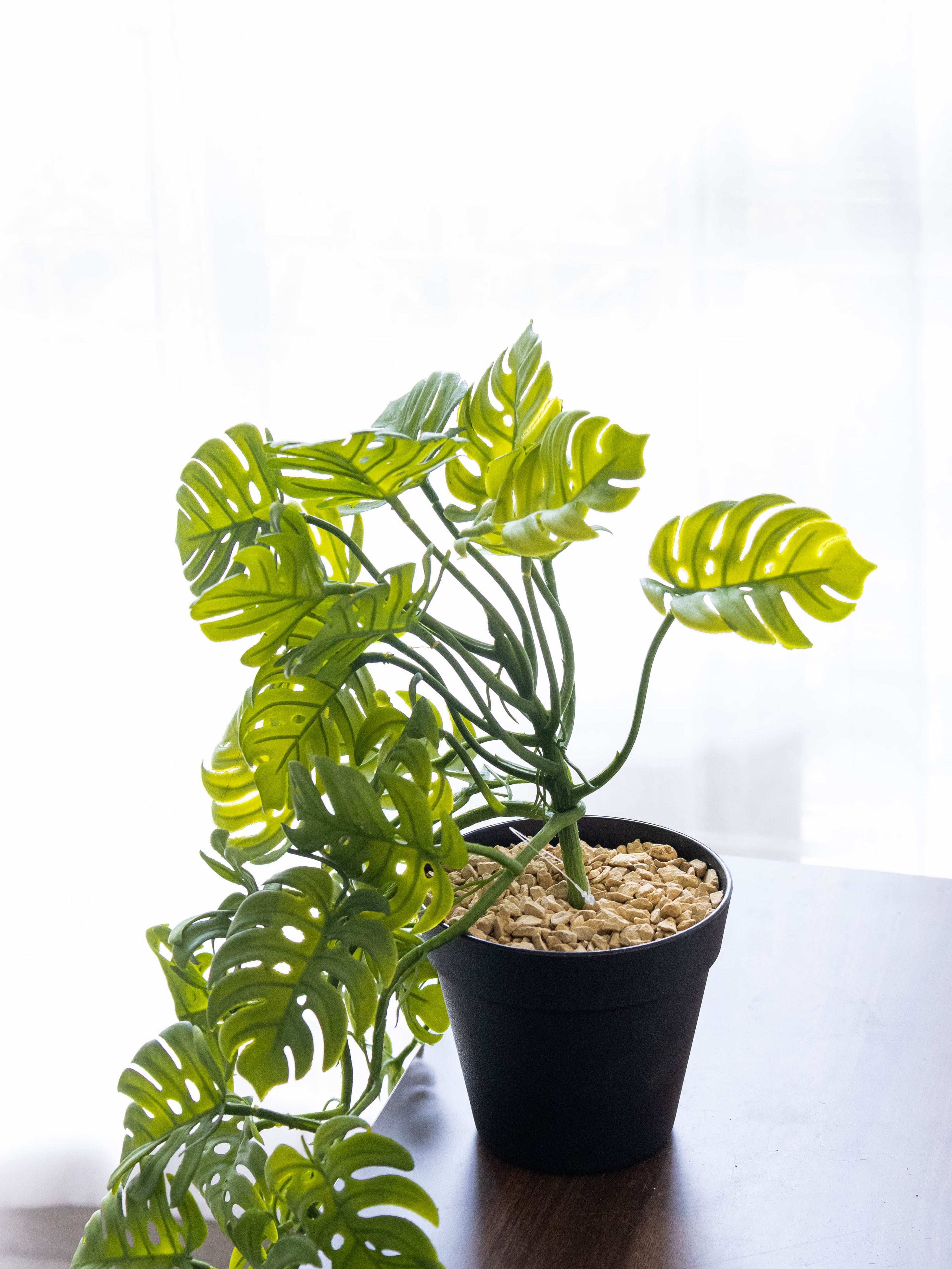 Artificial Split Philo Hanging Vine – 50 cm