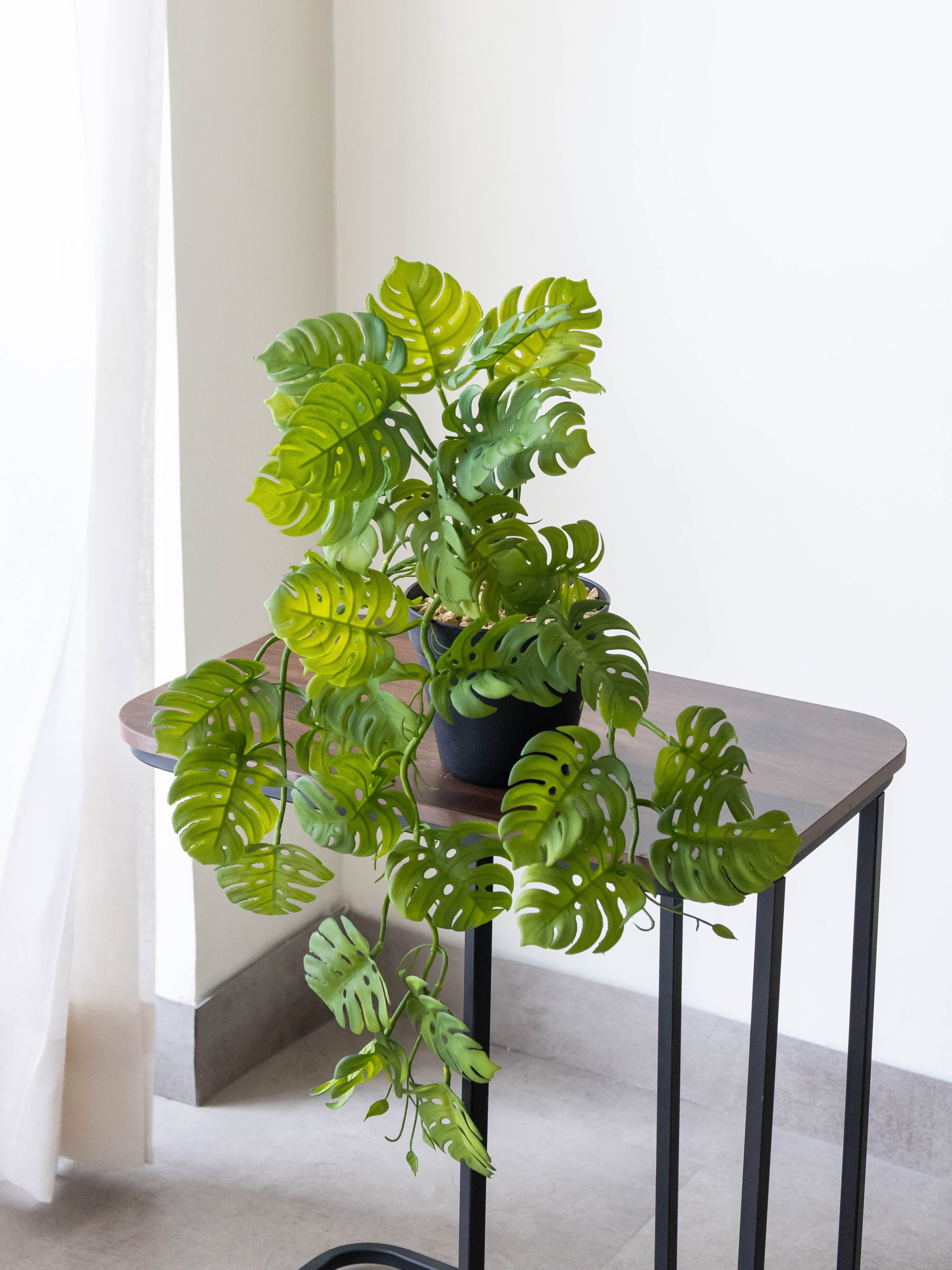 Artificial Split Philo Hanging Vine – 50 cm