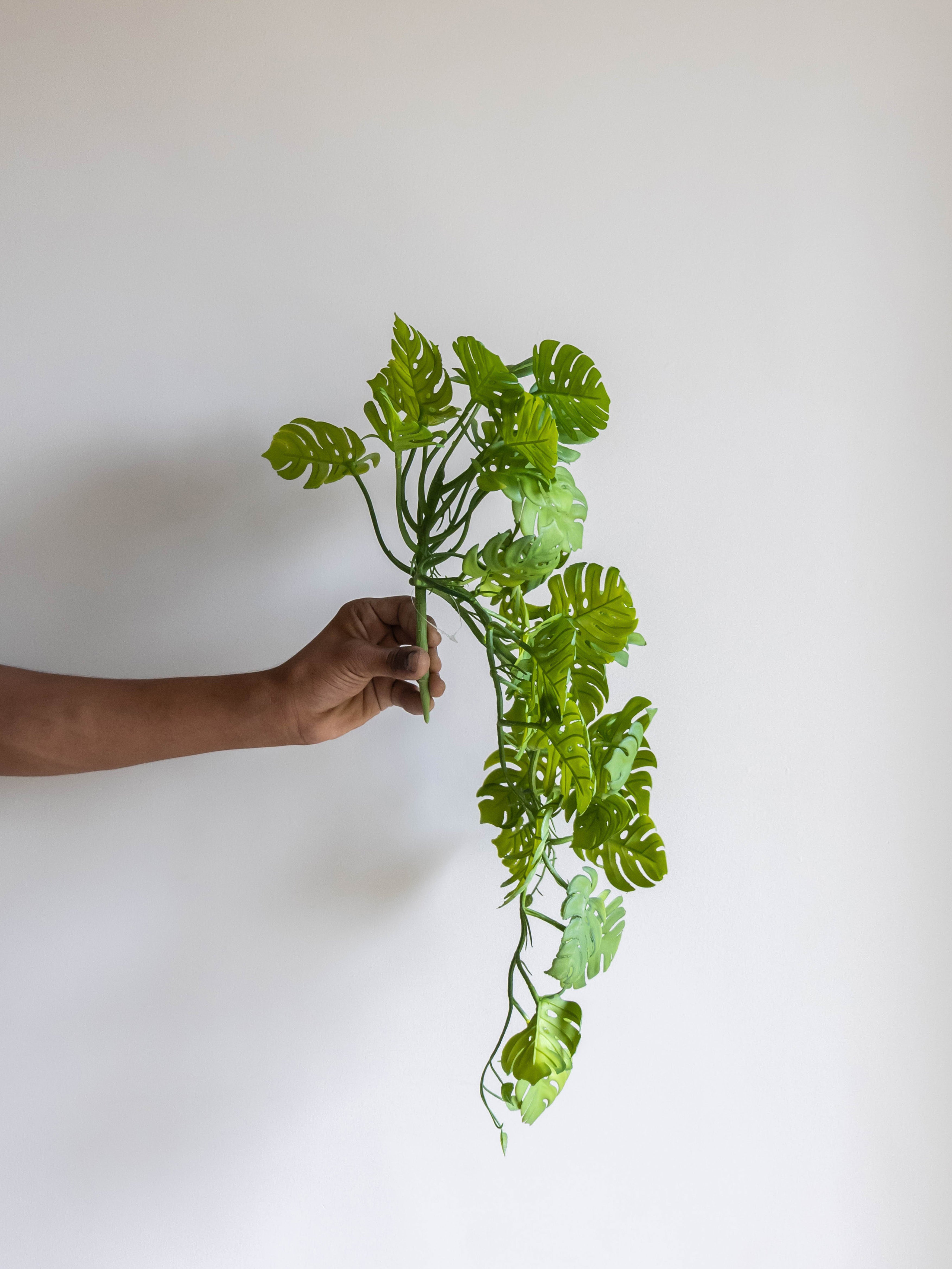 Artificial Split Philo Hanging Vine – 50 cm