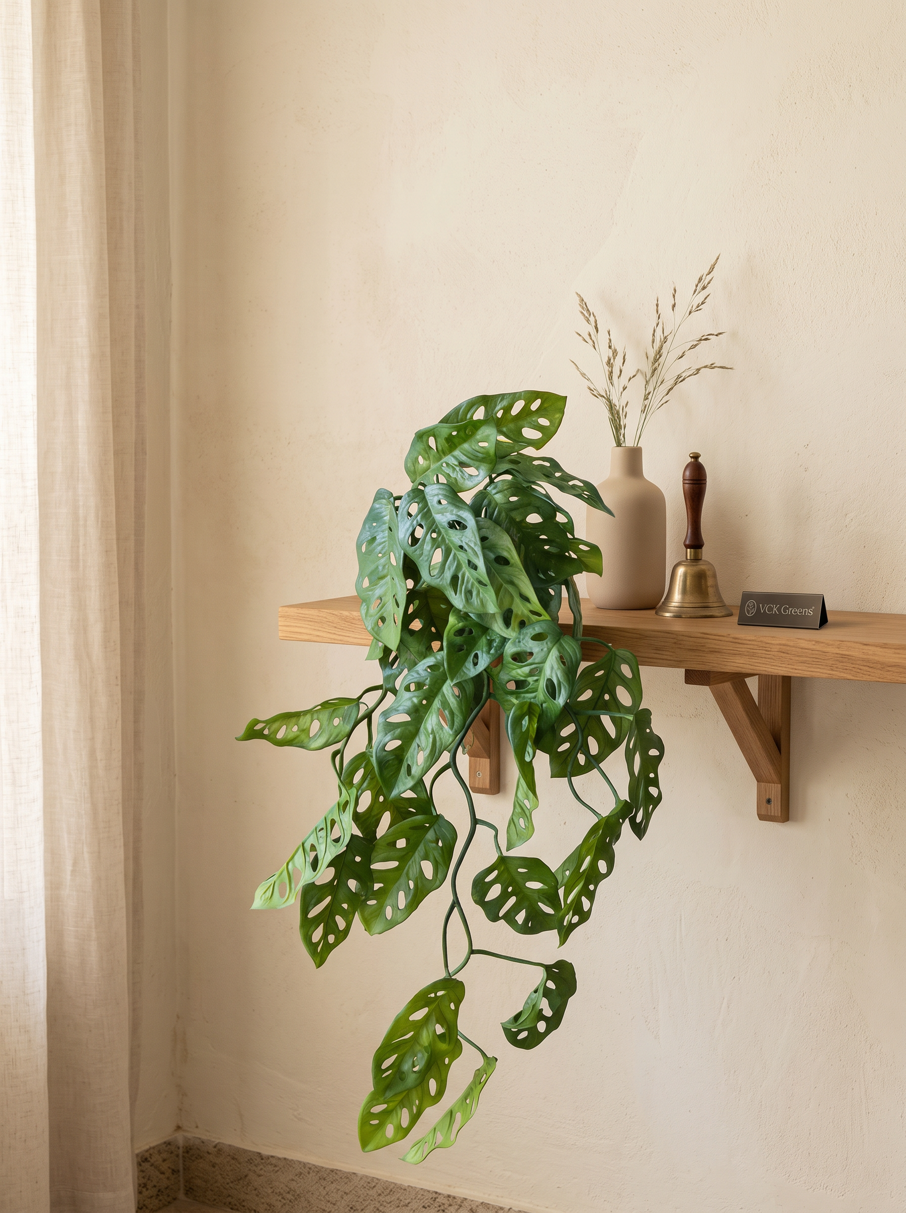 Artificial Monstera Adansonii Creeper
