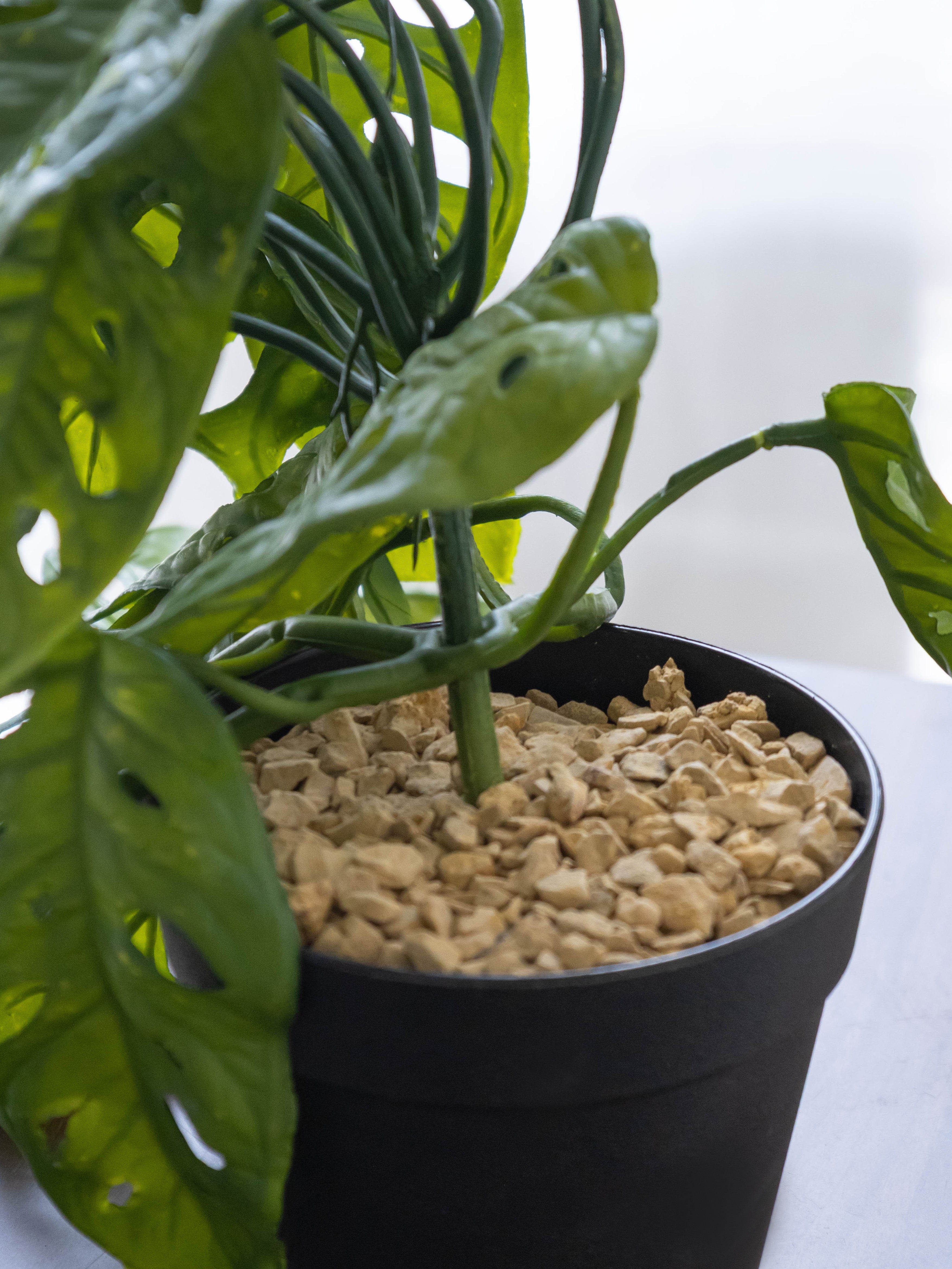 Artificial Monstera Adansonii Creeper