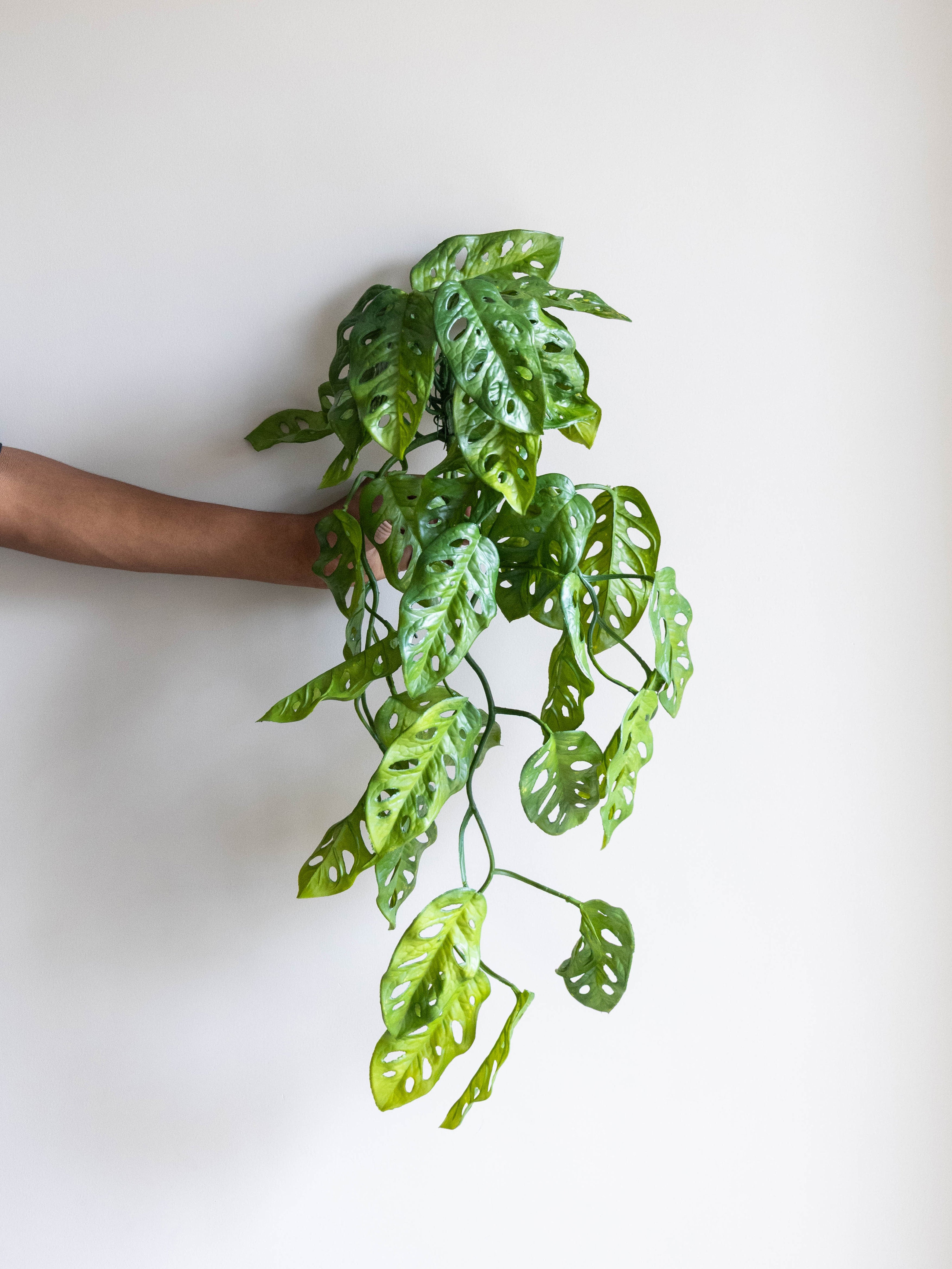 Artificial Monstera Adansonii Creeper