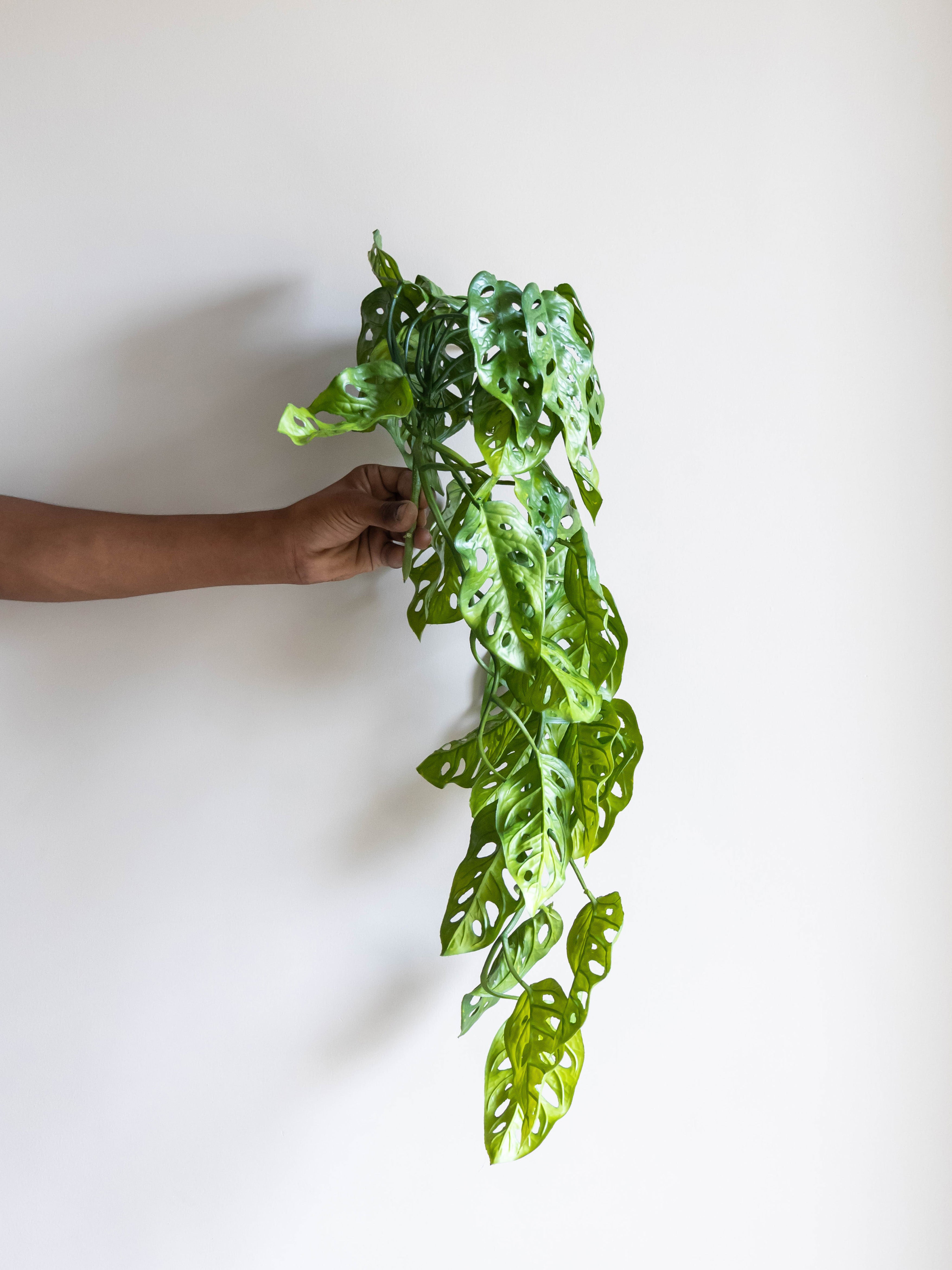 Artificial Monstera Adansonii Creeper
