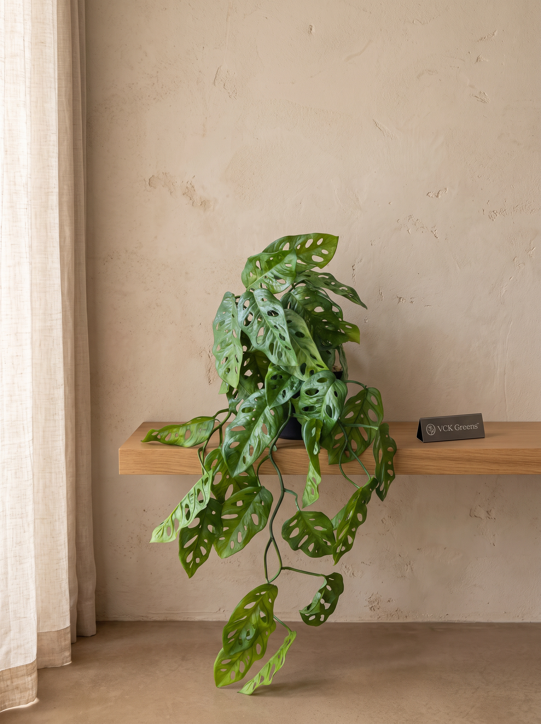 Artificial Monstera Adansonii Creeper
