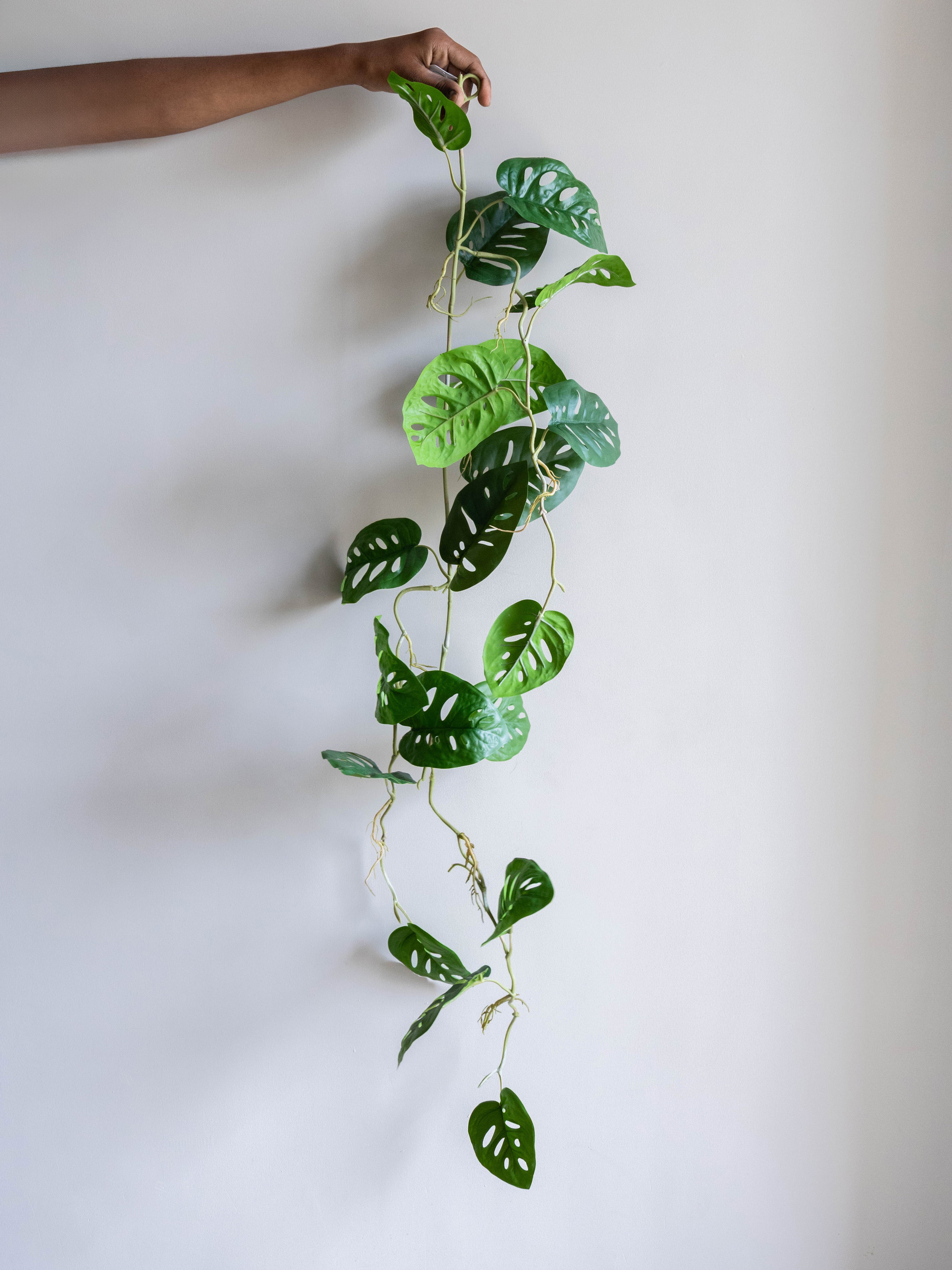 Artificial Swiss Cheese Hanging Vine 4ft