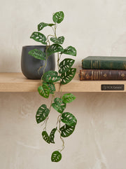 Artificial Swiss Cheese Hanging Vine 4ft